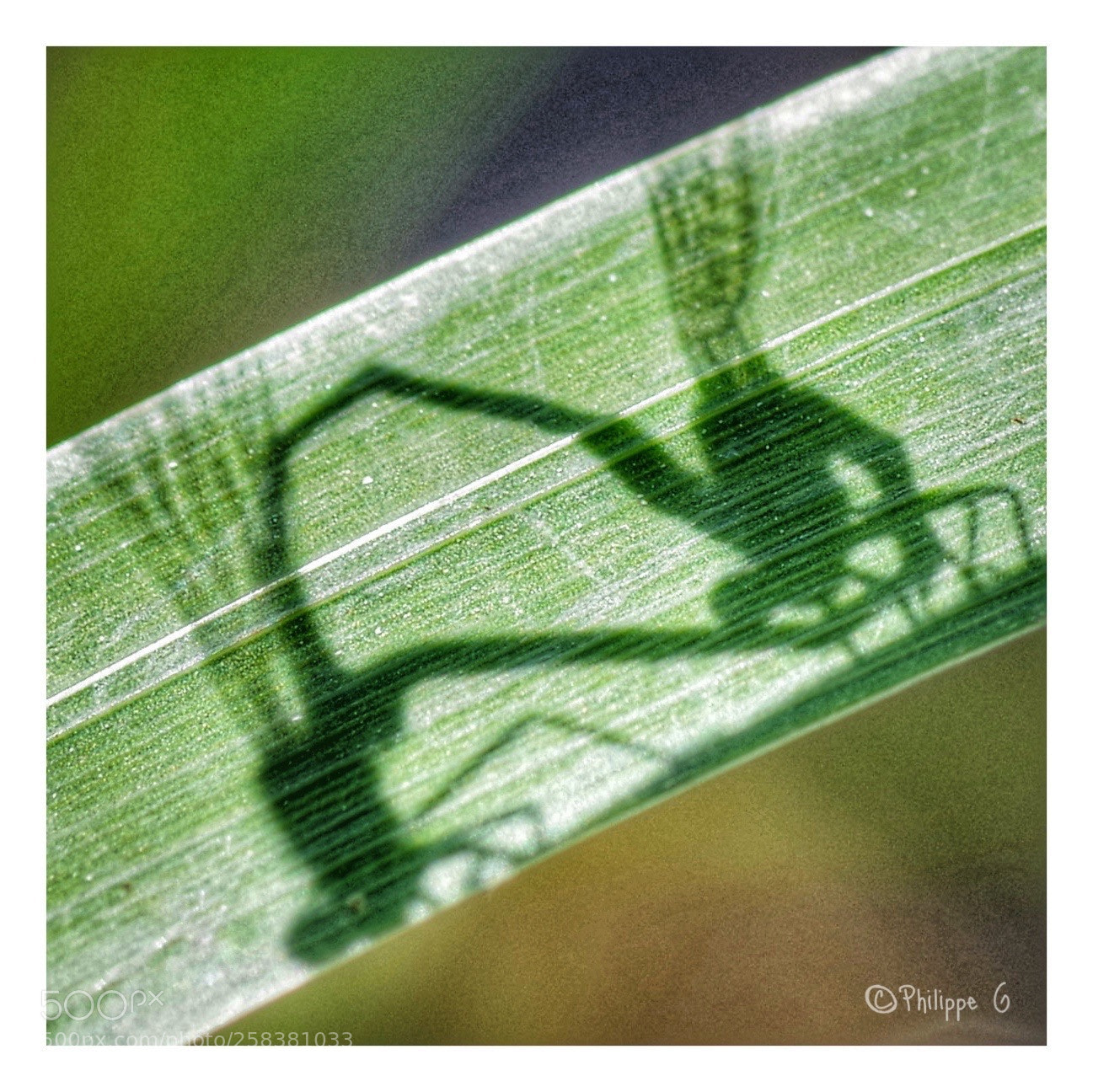 Pentax K-70 sample photo. Untitled photography