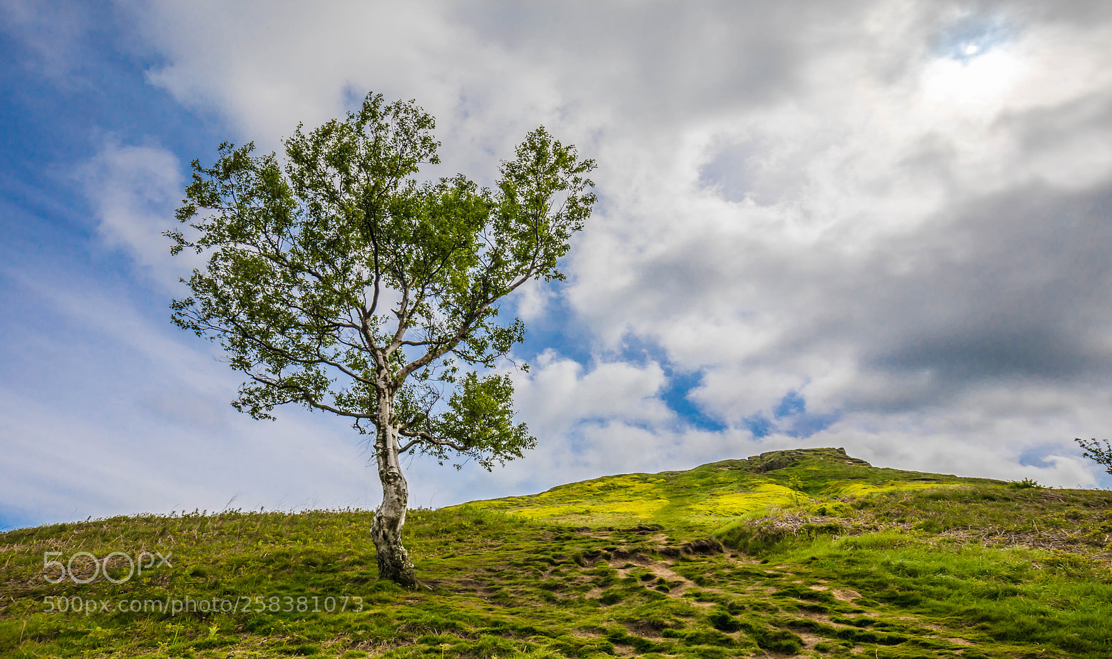 Canon EOS 5D Mark IV sample photo. Roseberry topping in north photography