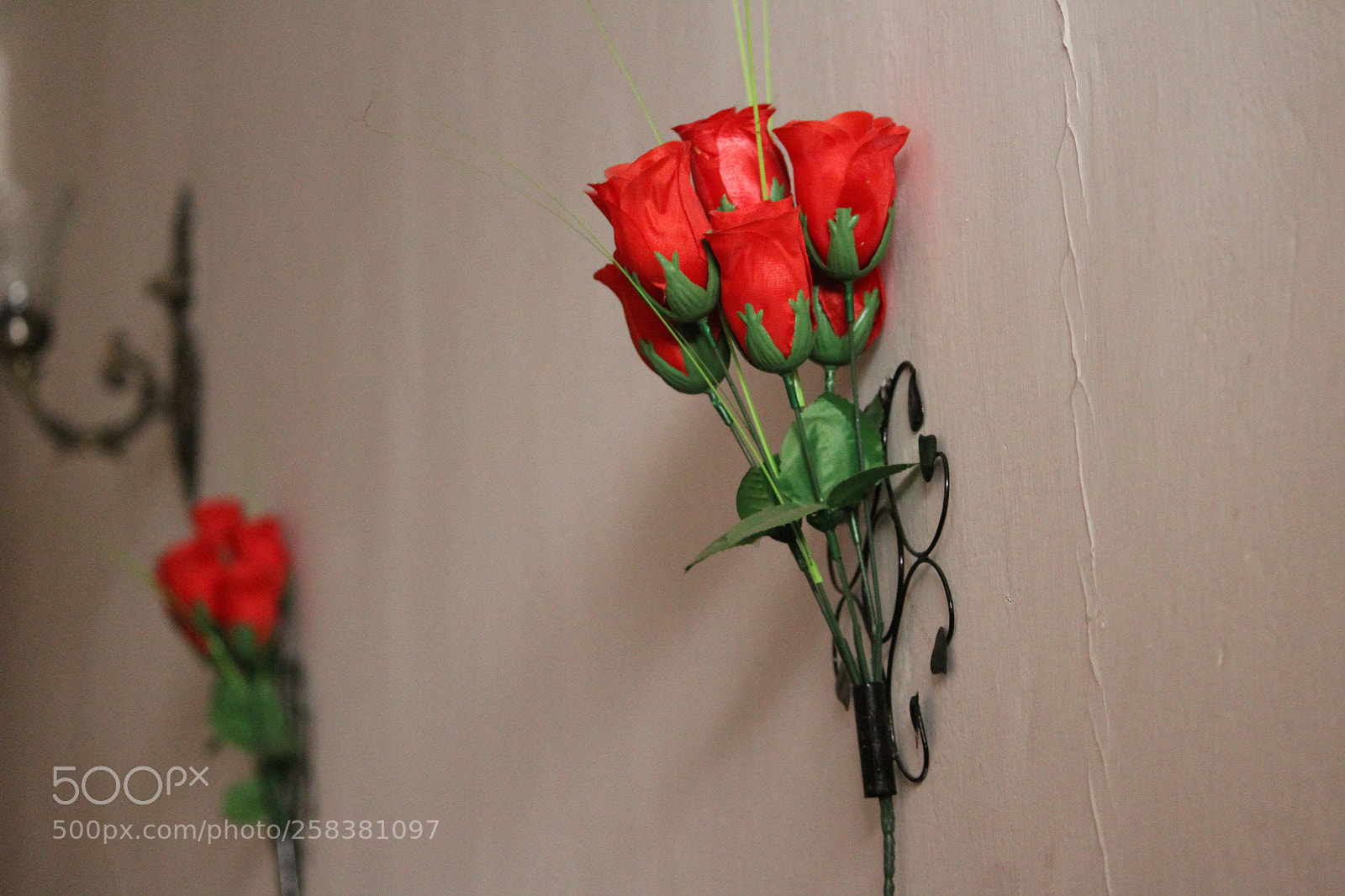 Canon EF-S 55-250mm F4-5.6 IS II sample photo. Img photography