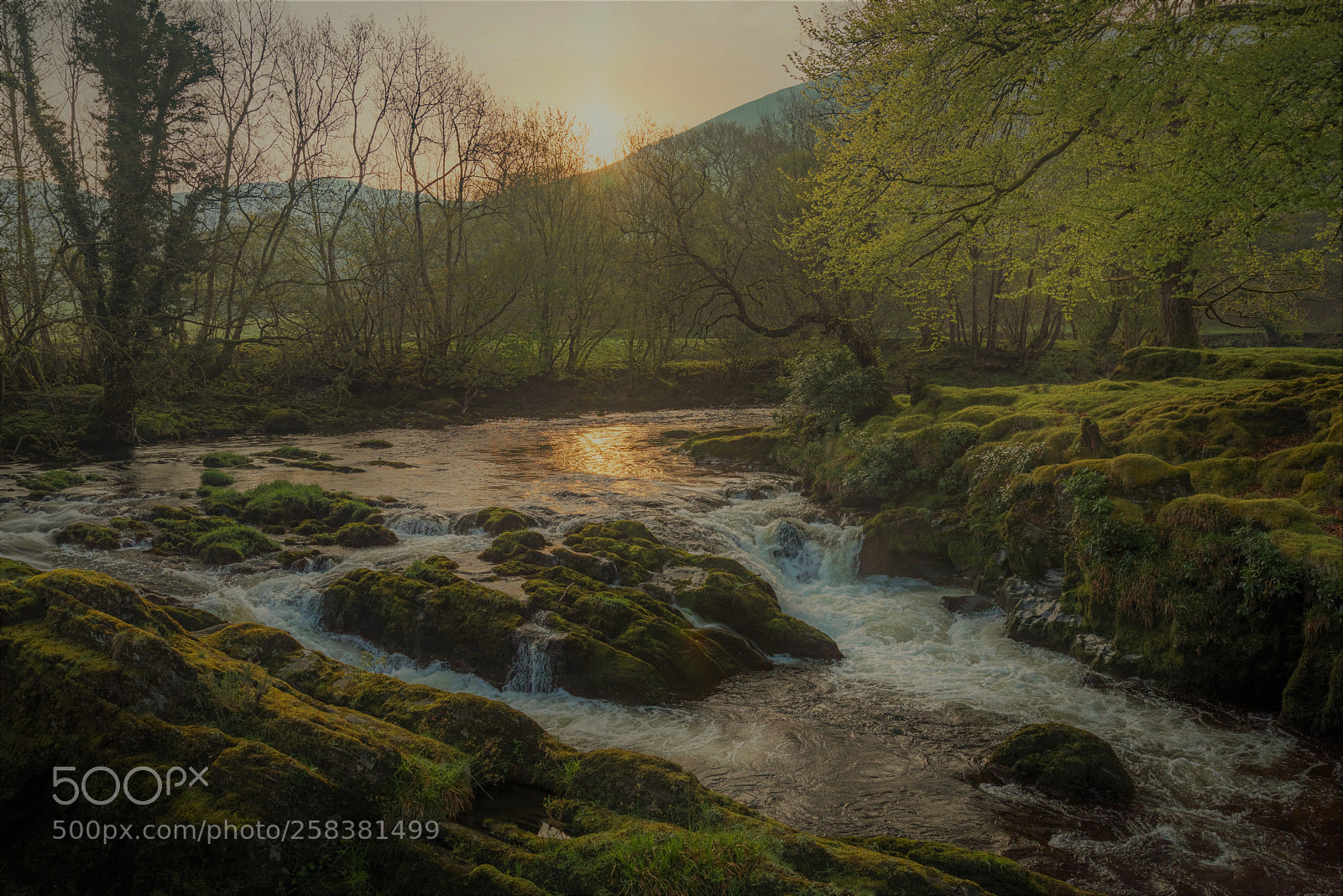 Nikon D810 sample photo. Sunrise by the river photography