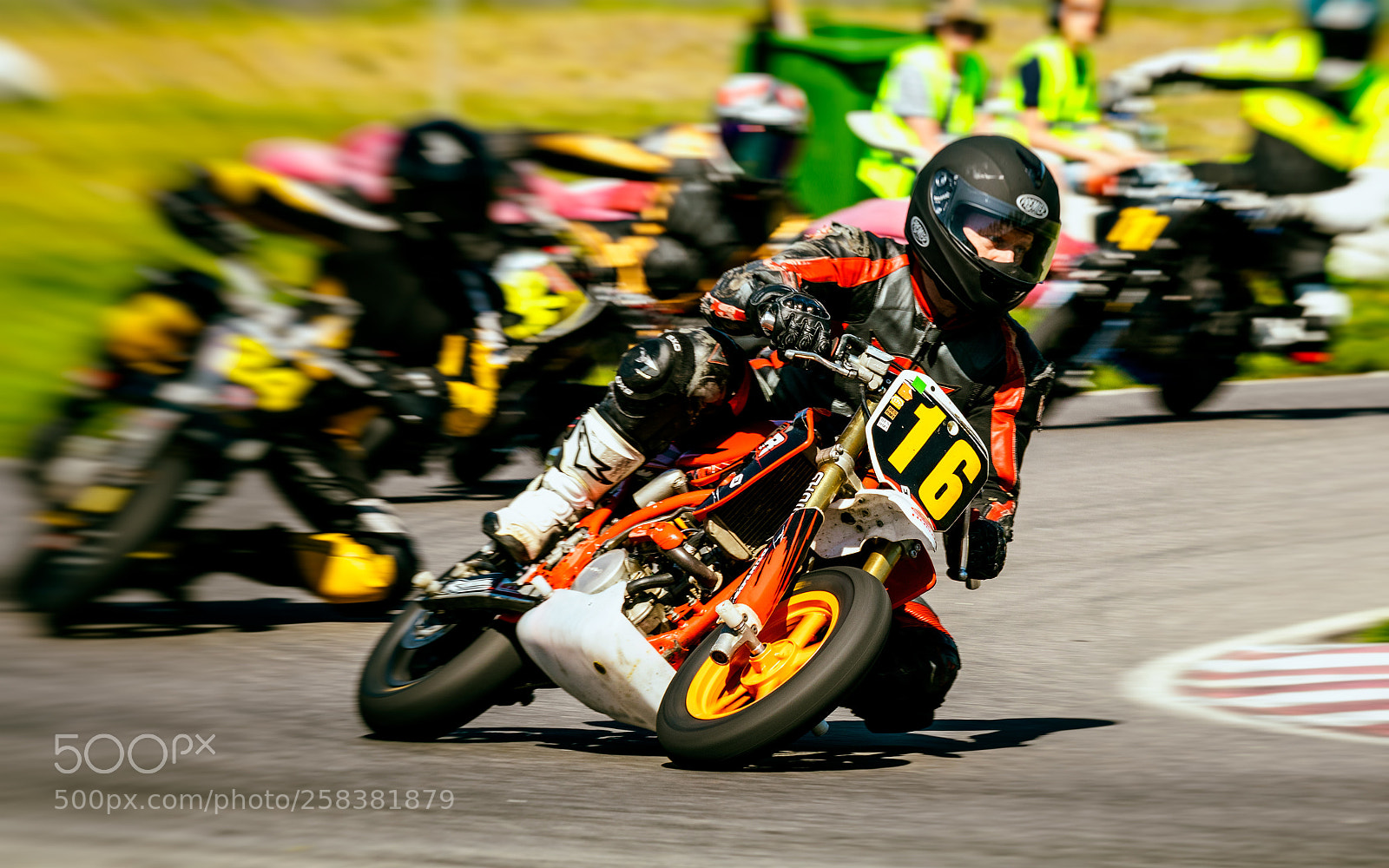 Canon EOS 80D sample photo. Leader of the pack! photography