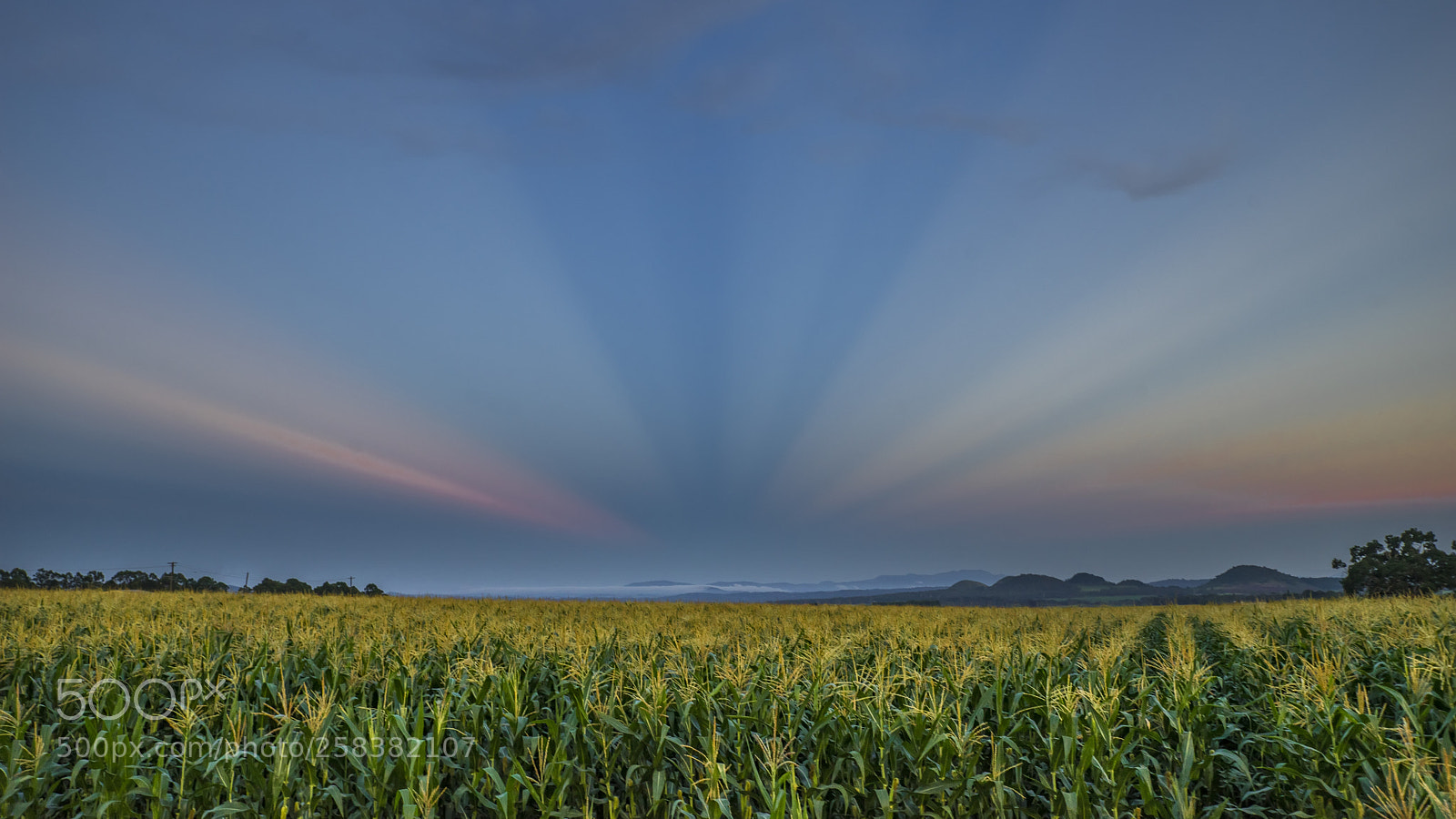 Sony a7 II sample photo. Pano photography