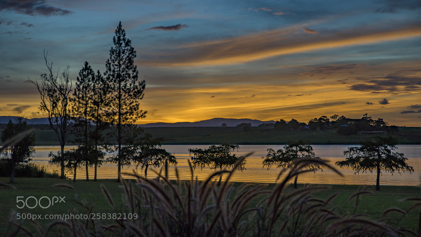 Sony a7 II sample photo. Dsc photography