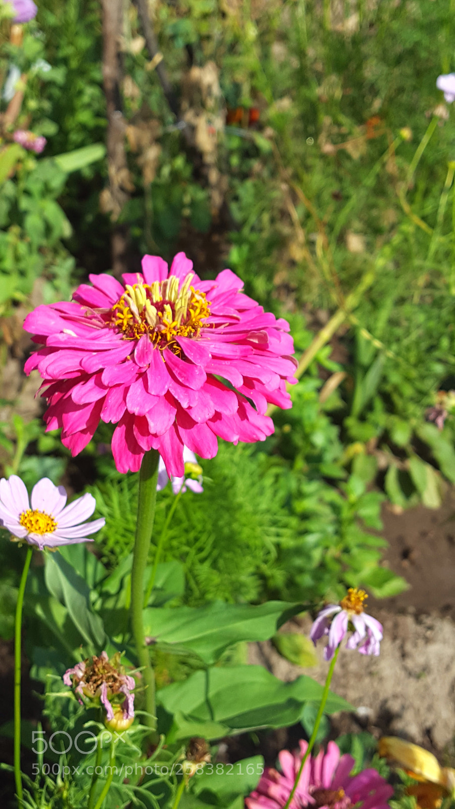Samsung GALAXY S6 edge sample photo. 20170722_165356.jpg photography