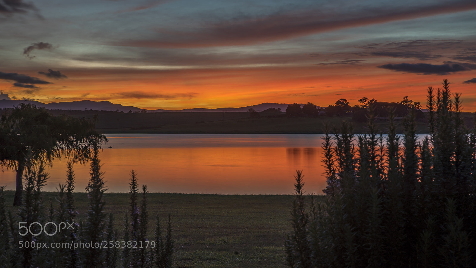 Sony a7 II sample photo. Dsc photography