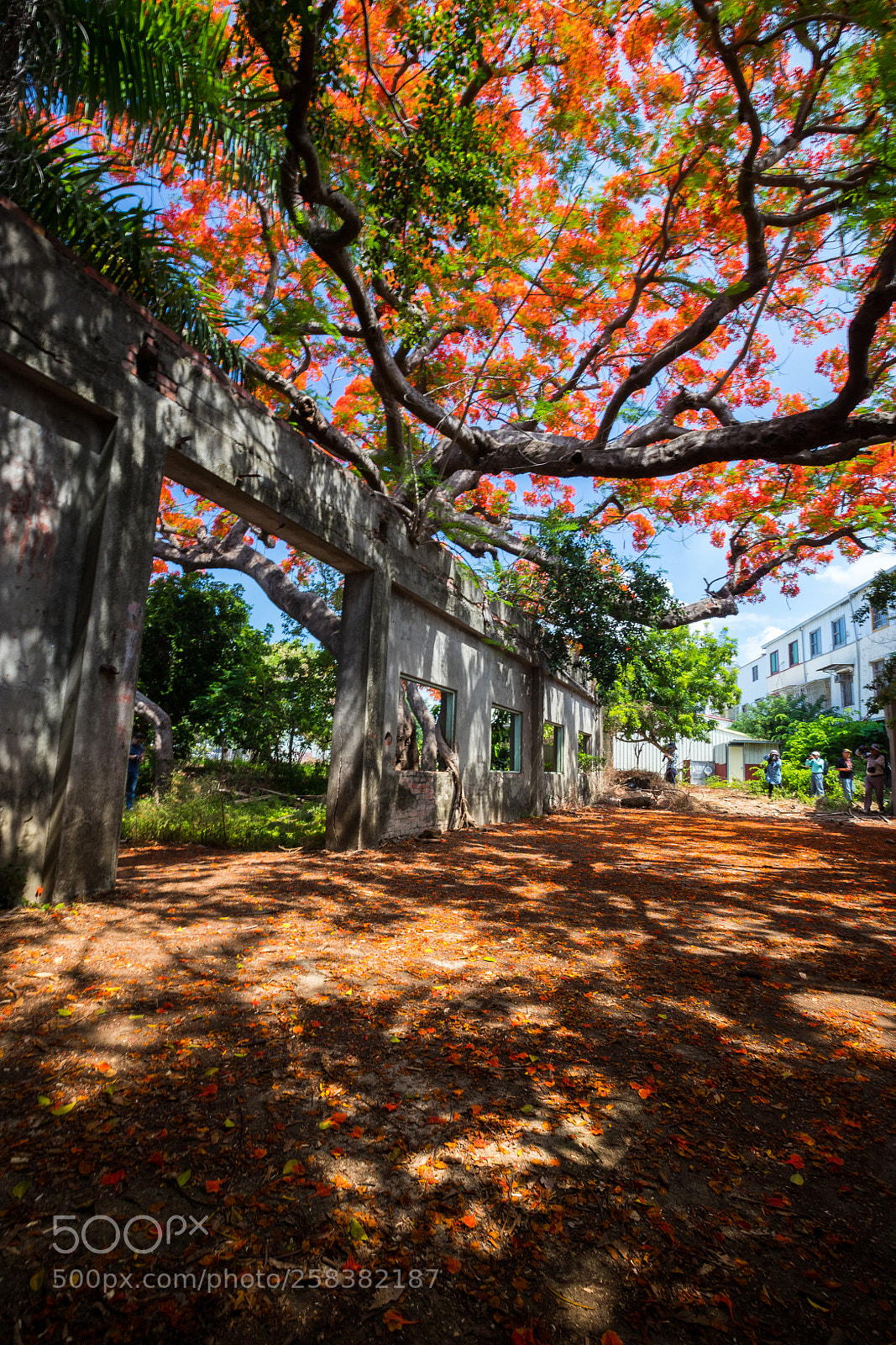Canon EOS 6D Mark II sample photo. Untitled photography