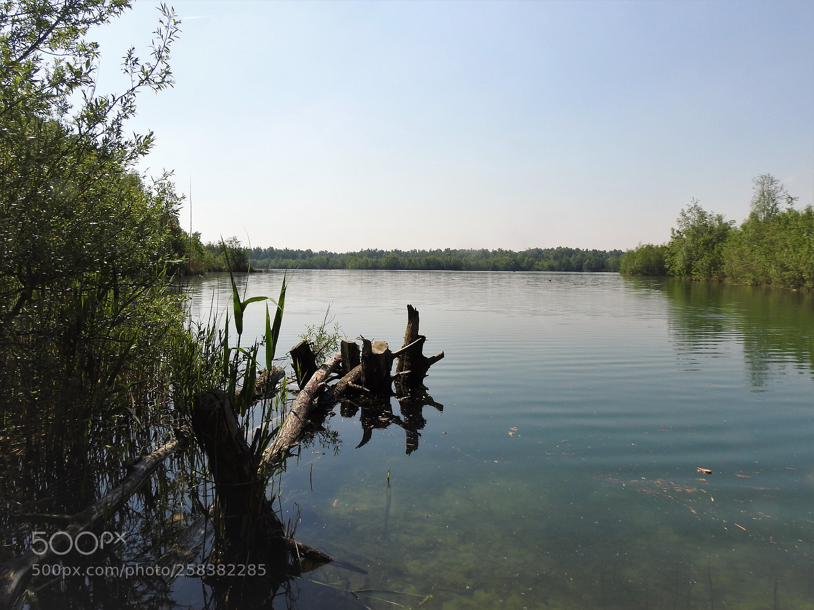 Nikon Coolpix P900 sample photo. Lake aa photography