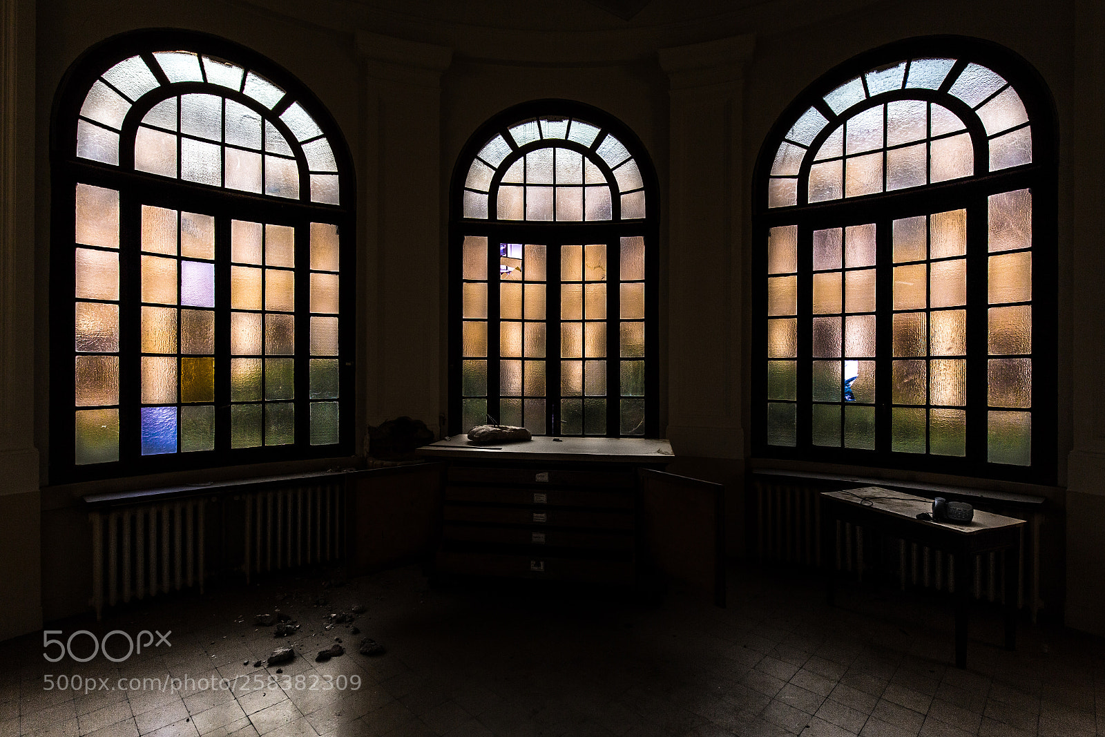 Canon EOS 6D sample photo. Tris in decay photography