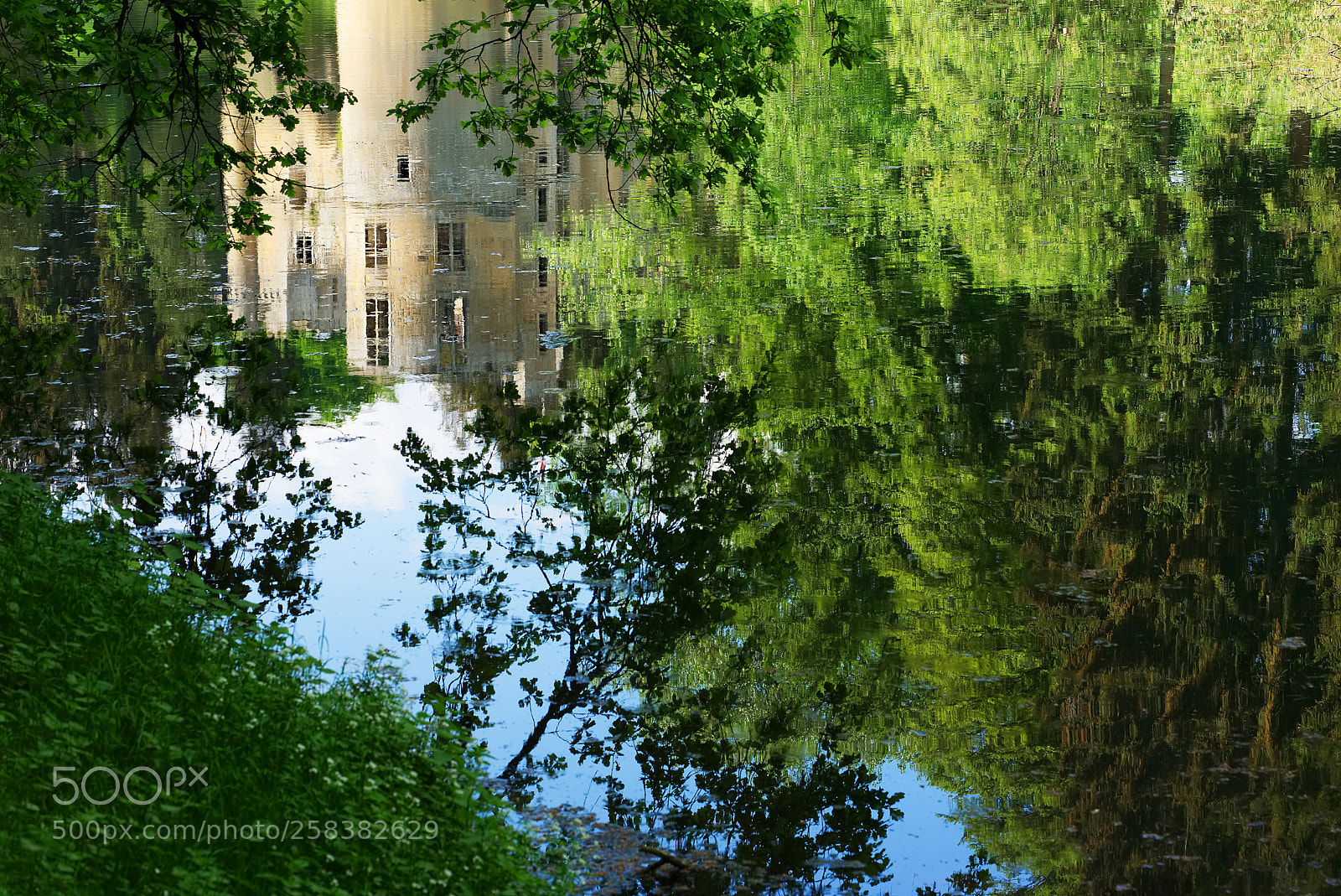 Sony a7 II sample photo. Impression in green photography