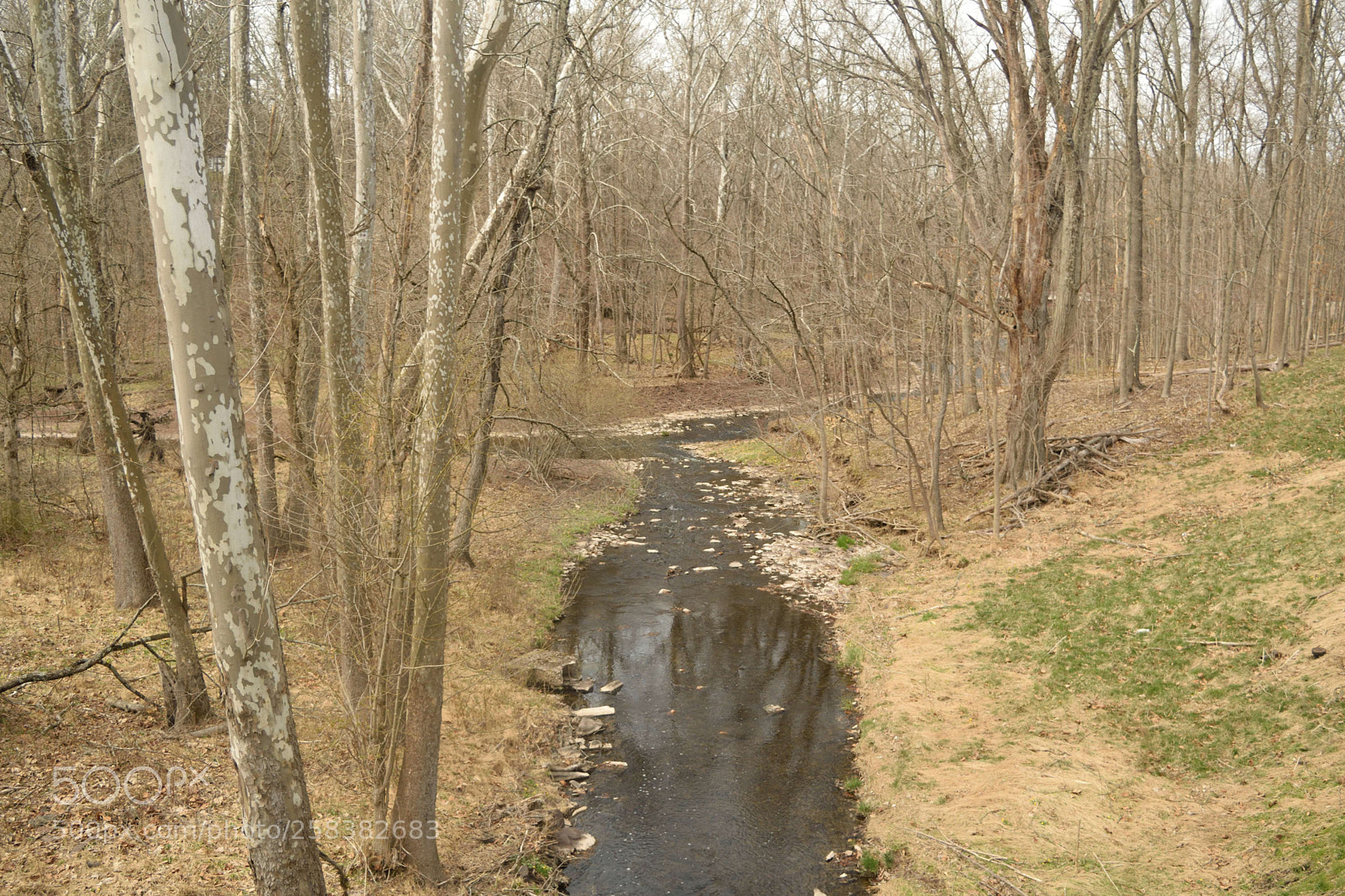 Nikon D3300 sample photo. Jacobs creek photography