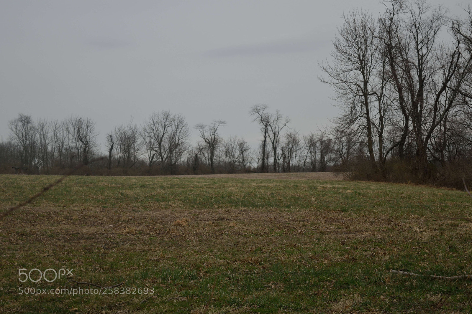 Nikon D3300 sample photo. Jacobs creek photography