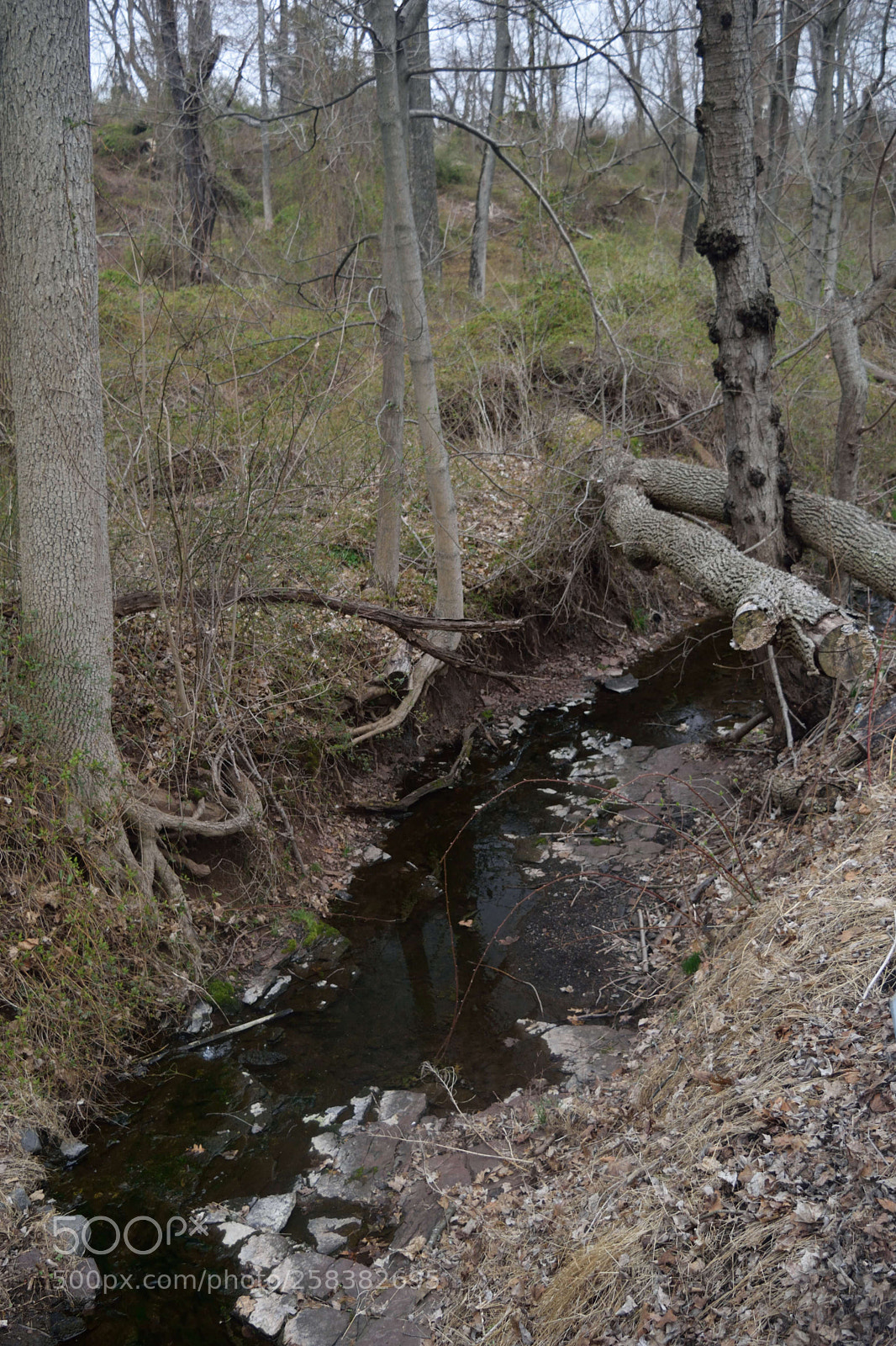 Nikon D3300 sample photo. Jacobs creek photography