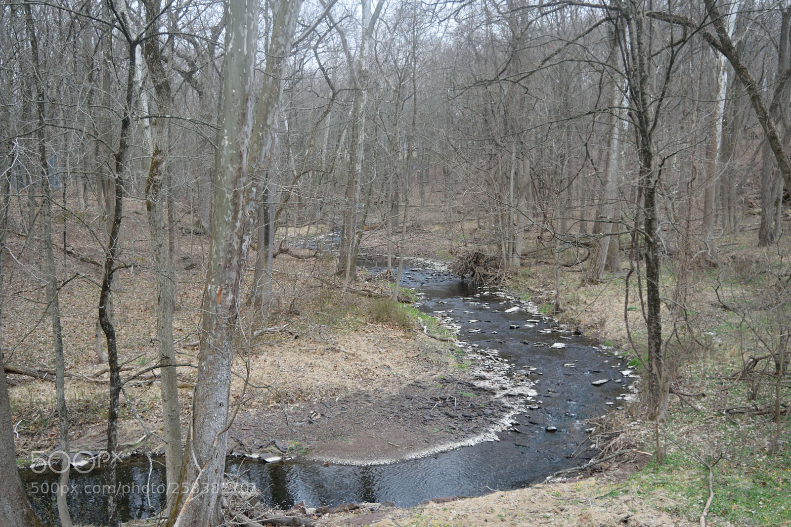 Nikon D3300 sample photo. Jacobs creek photography