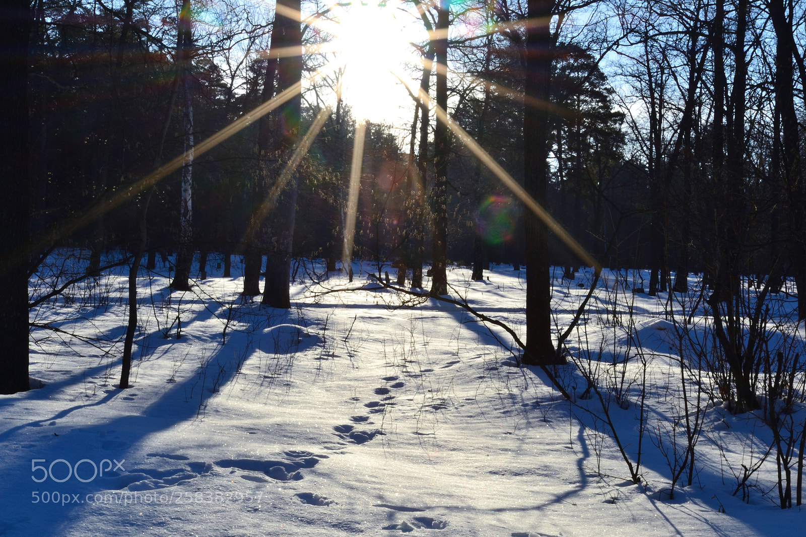 Nikon D3100 sample photo. Rays and shadows photography