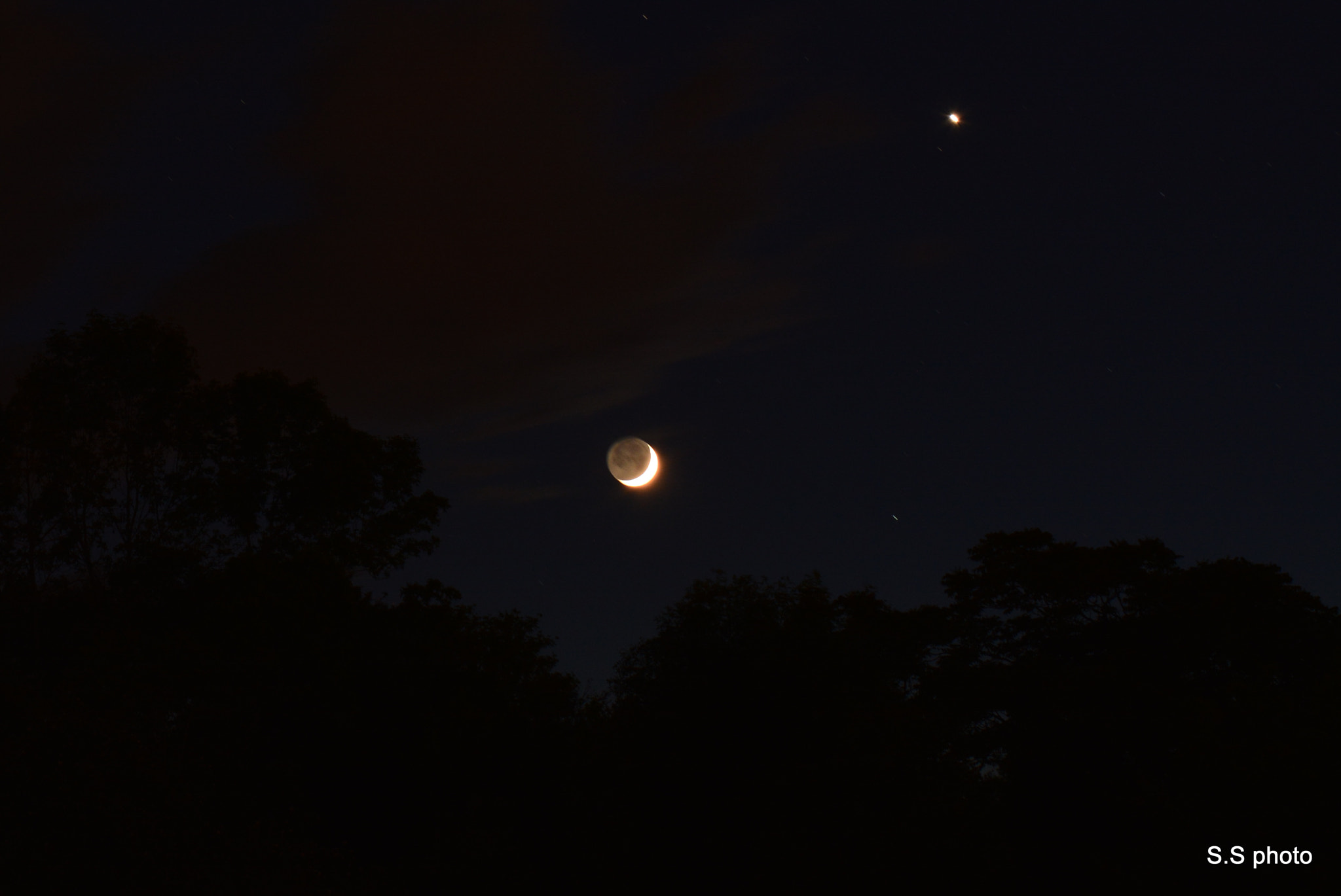 Nikon D7100 sample photo