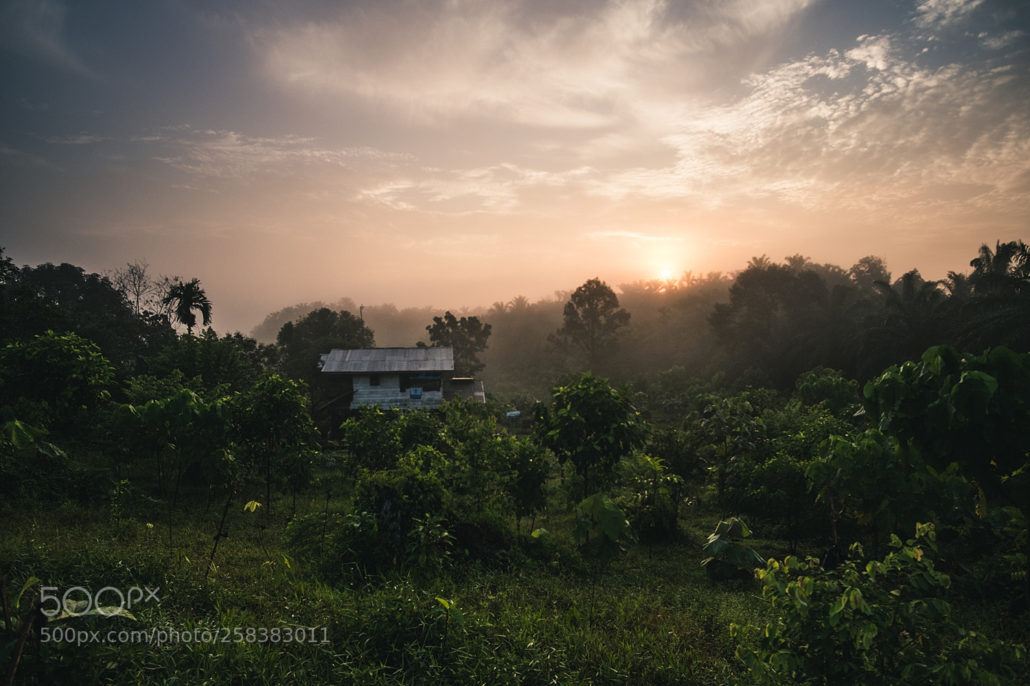 Fujifilm X-T2 sample photo. Morning light at the photography