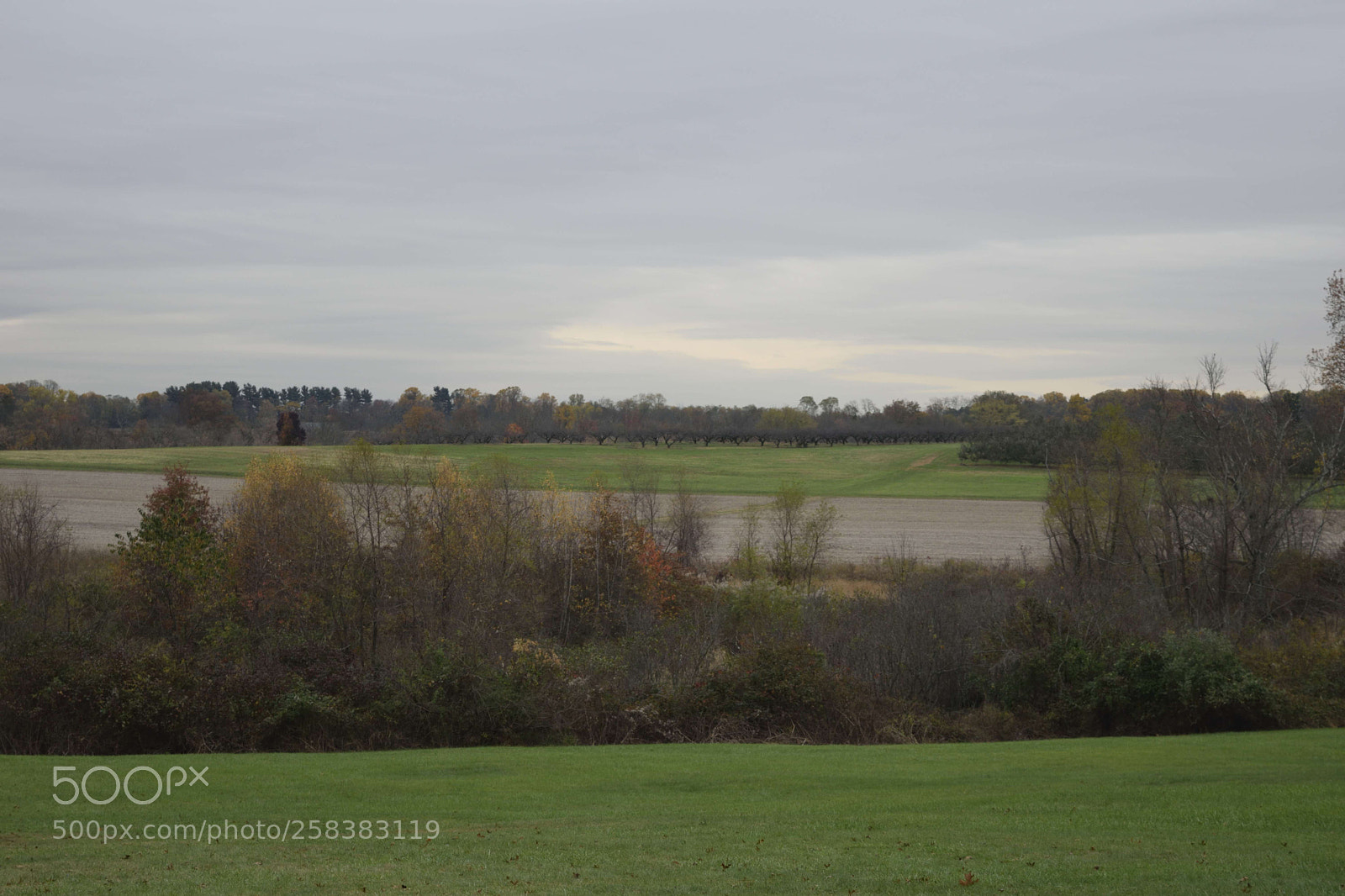 Nikon D3300 sample photo. Monmouth battlefield photography
