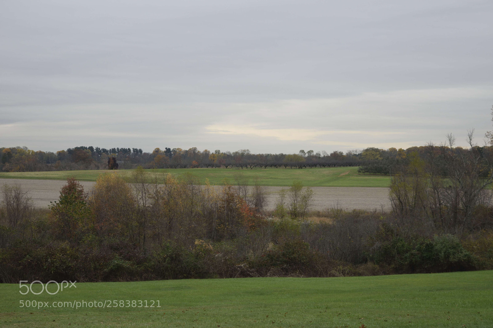Nikon D3300 sample photo. Monmouth battlefield photography