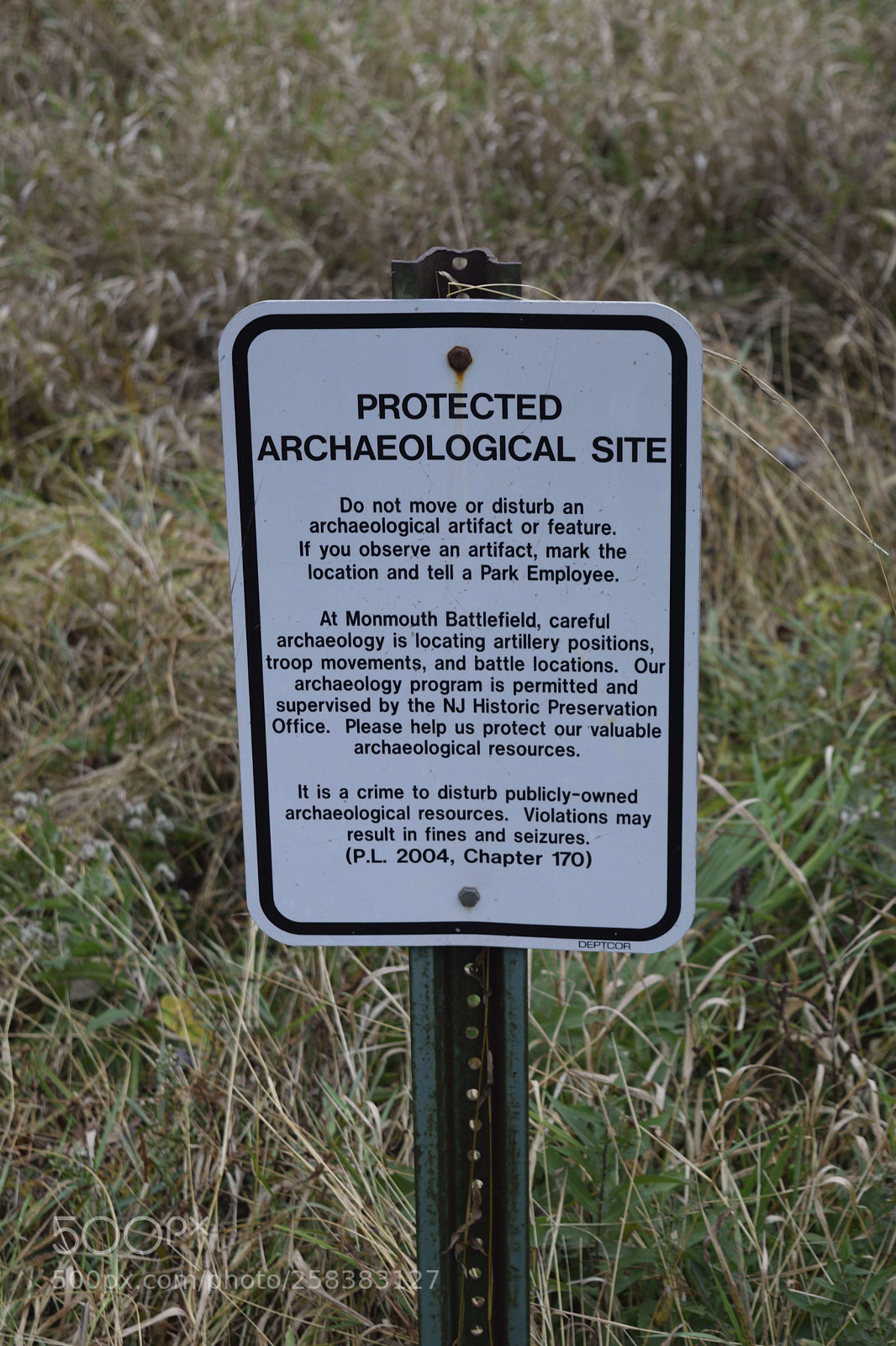 Nikon D3300 sample photo. Monmouth battlefield photography