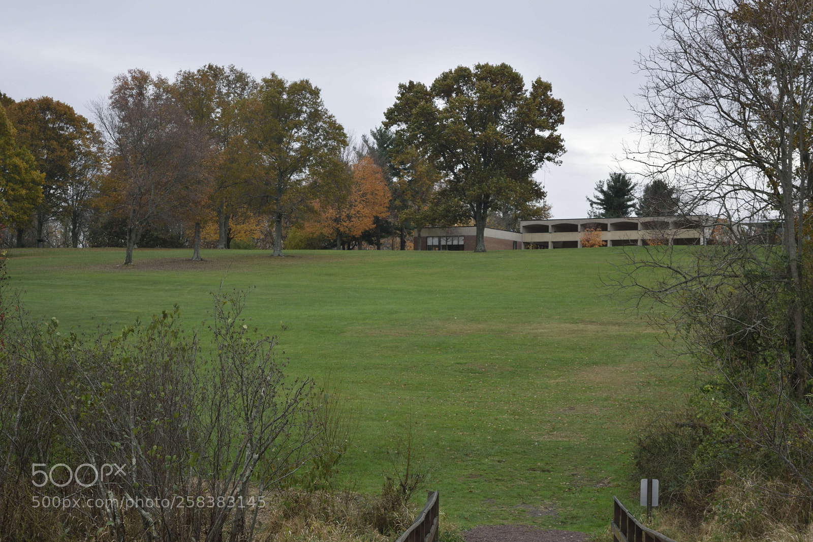 Nikon D3300 sample photo. Monmouth battlefield photography