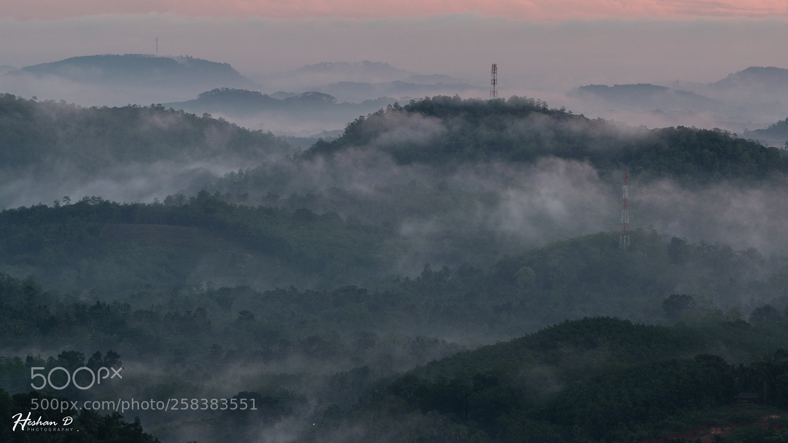 Nikon D5300 sample photo. Misty photography