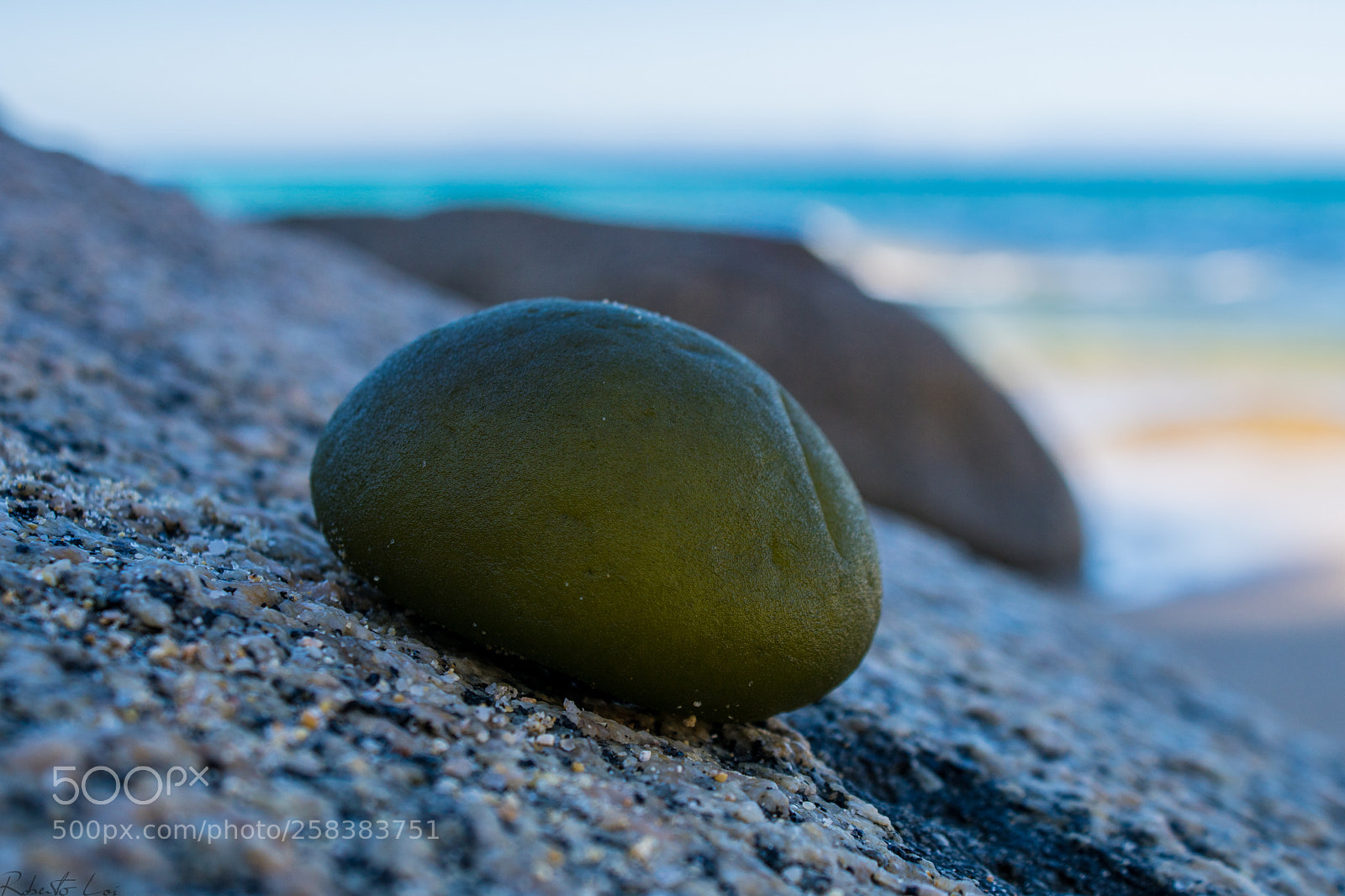 Sony ILCA-77M2 sample photo. Untitled photography