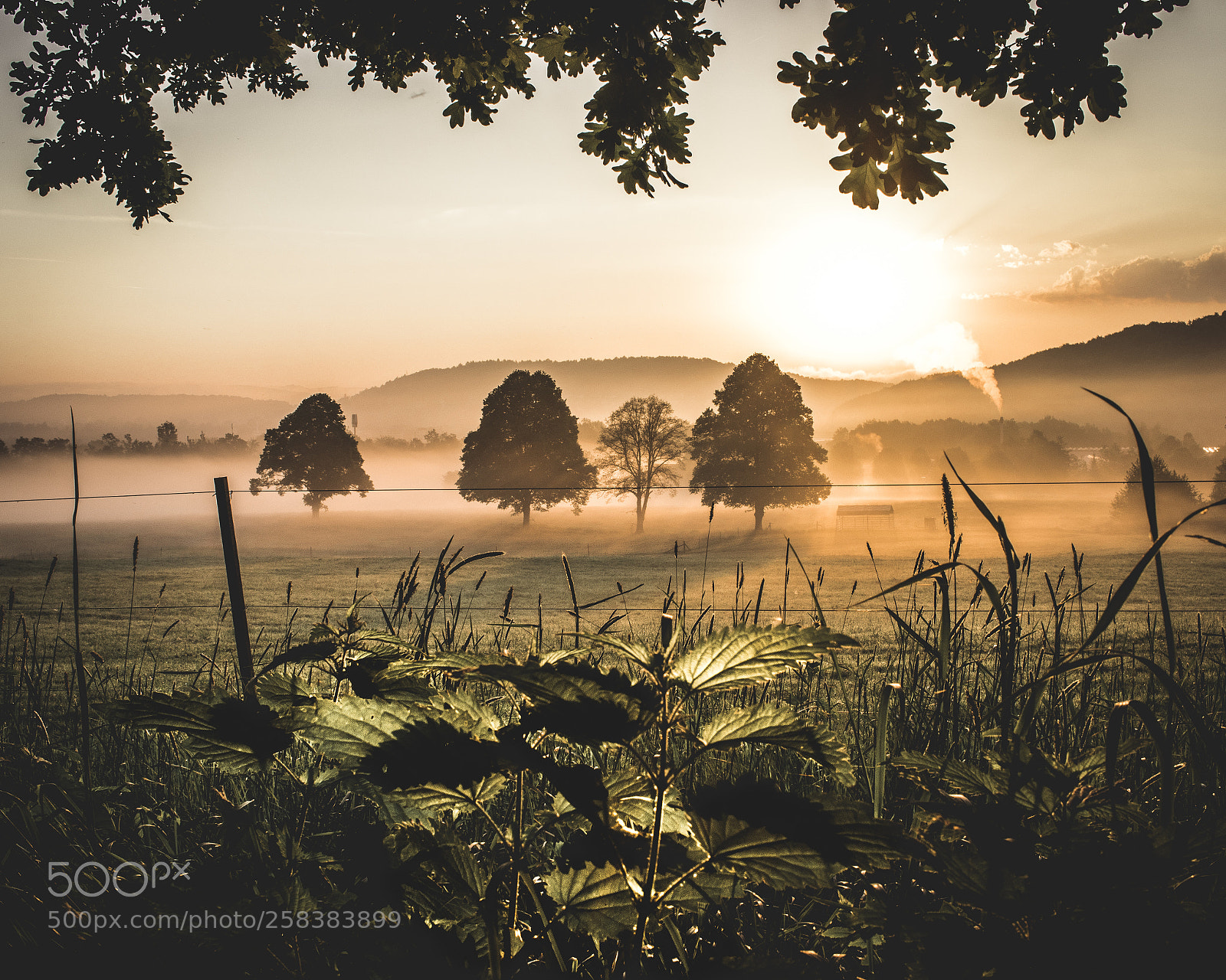 Canon EOS 80D sample photo. Spring morning feelings photography