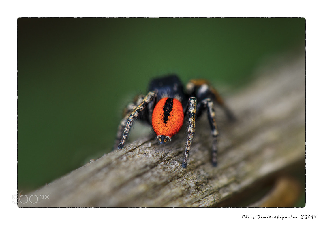 Nikon D7000 sample photo. The other side photography