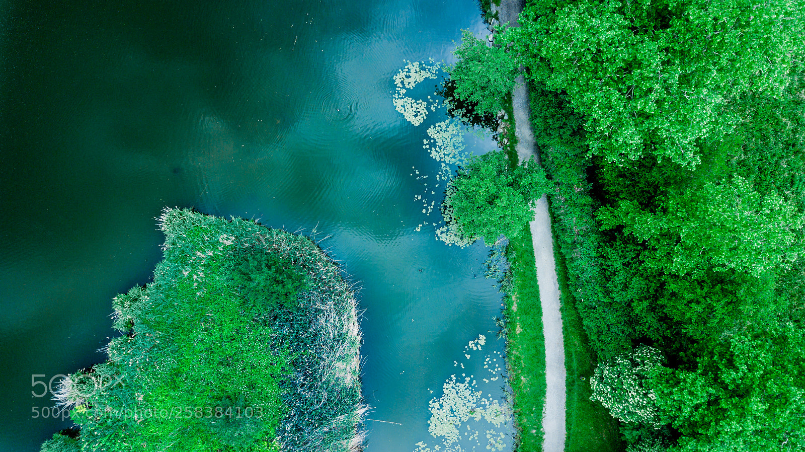 DJI FC220 sample photo. Lake photography