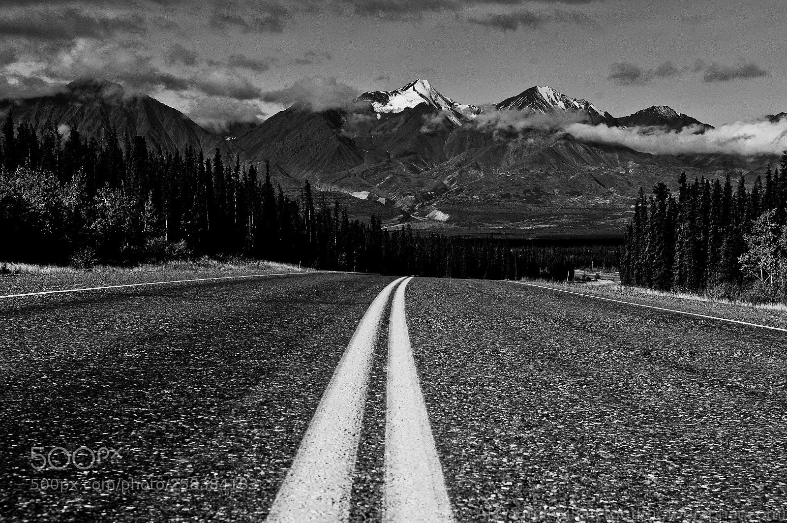 Nikon D300 sample photo. Alaskan highway photography