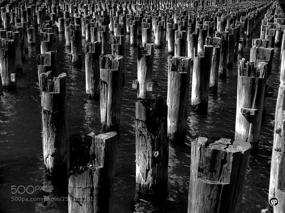 Fujifilm X10 sample photo. Port melbourne piers photography