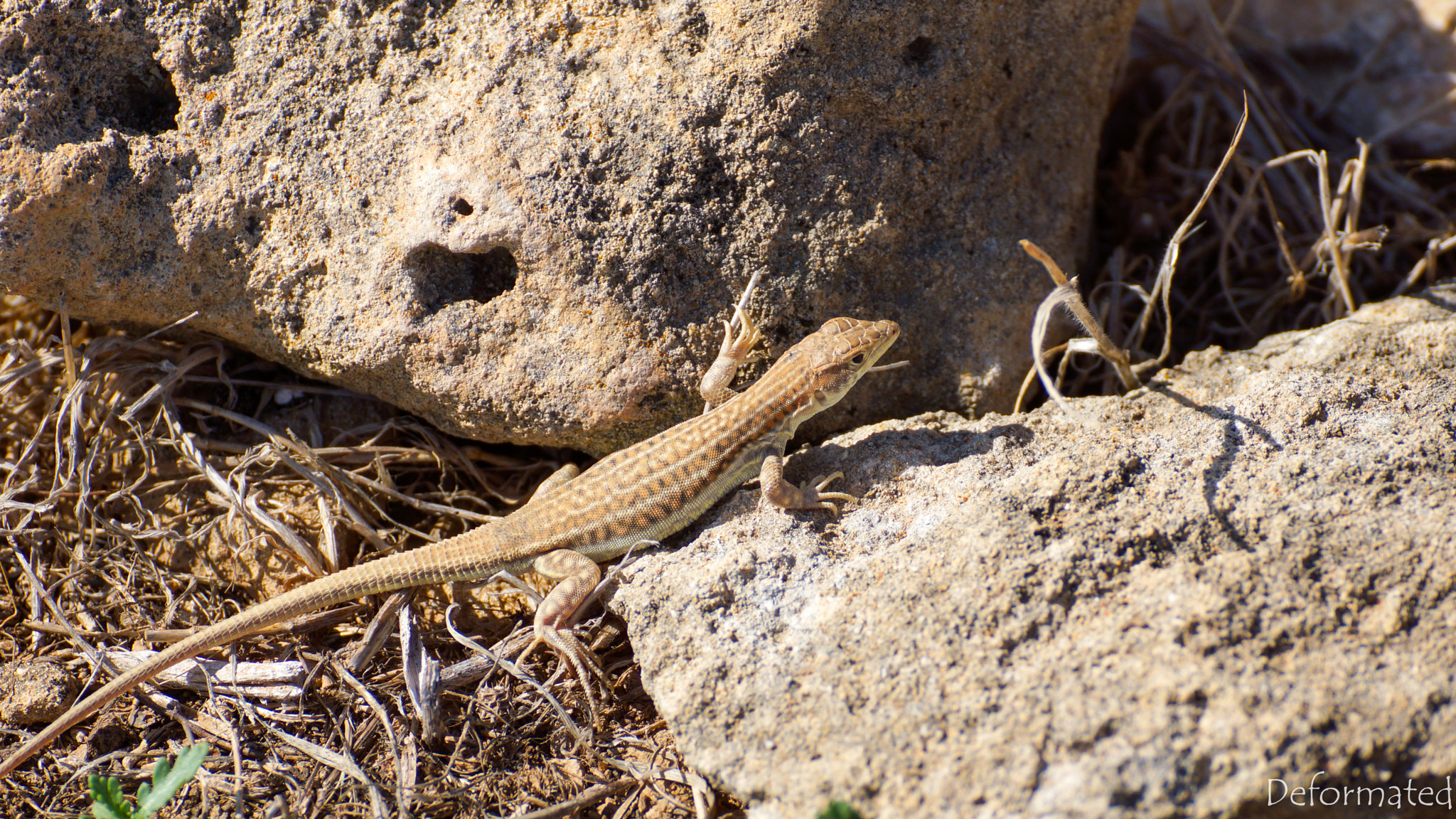 Sony SLT-A65 (SLT-A65V) sample photo. Cyprus photography