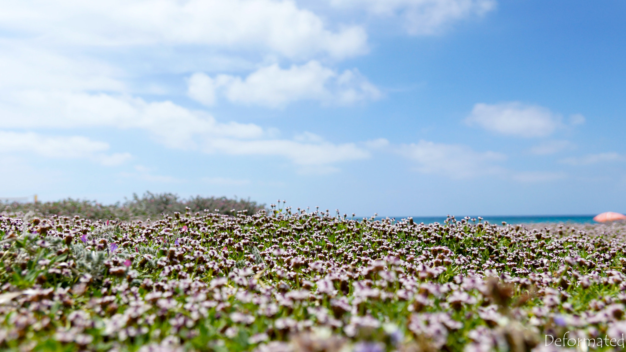 Sony SLT-A65 (SLT-A65V) sample photo. Cyprus photography