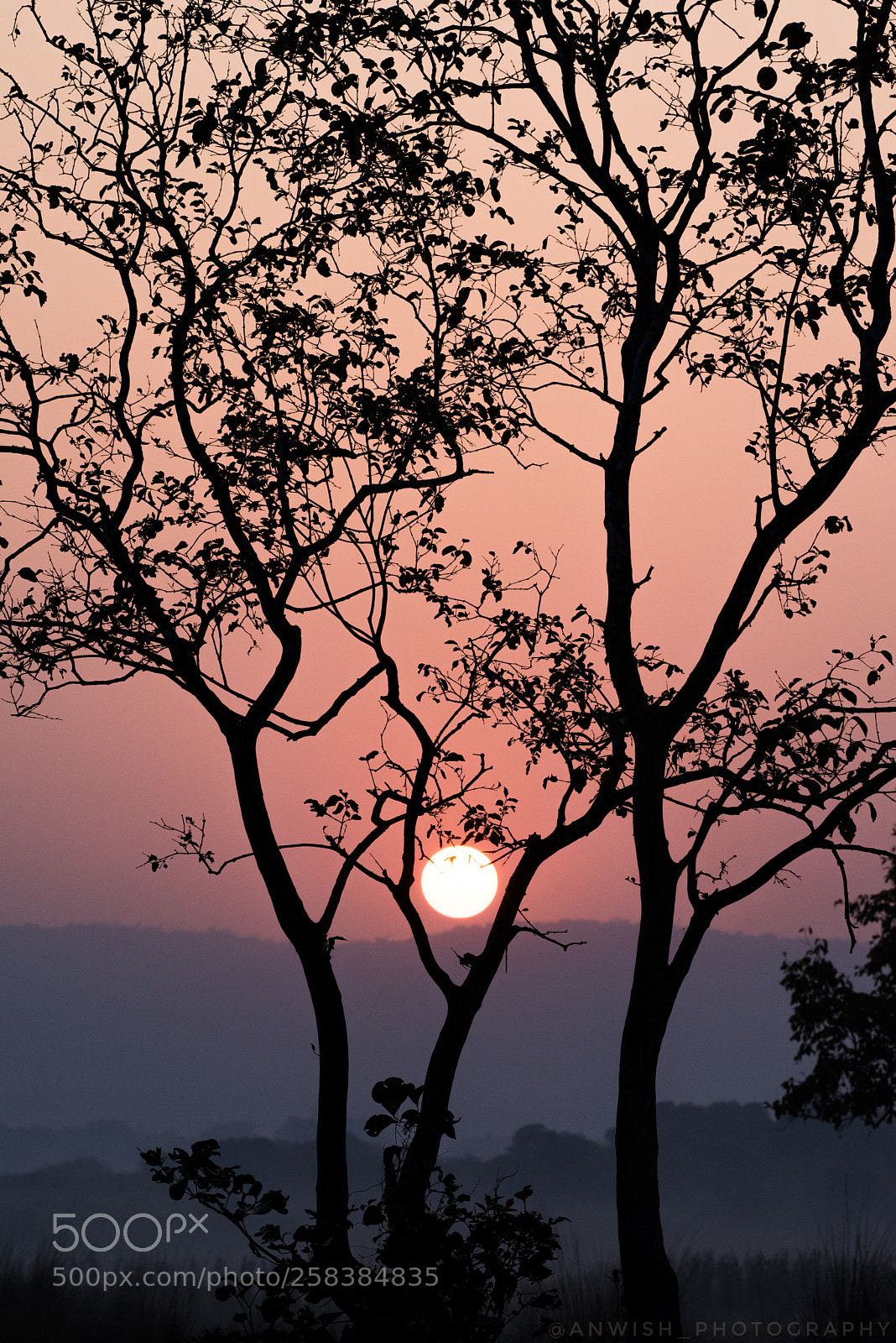 Nikon D810 sample photo. The poetry of earth photography