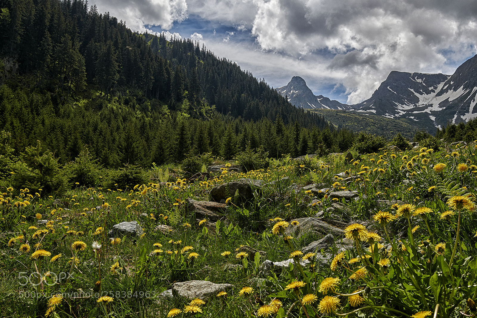 Nikon D5300 sample photo. Valea sambetei fagaras mountains photography