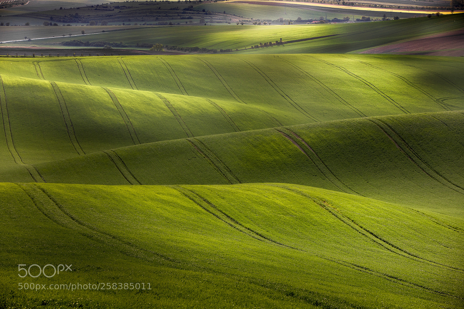 Canon EOS 5D Mark IV sample photo. Moravian fields ii photography