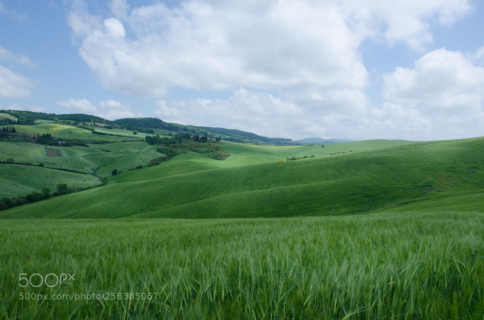 Nikon D7000 sample photo. Tuscany hills photography