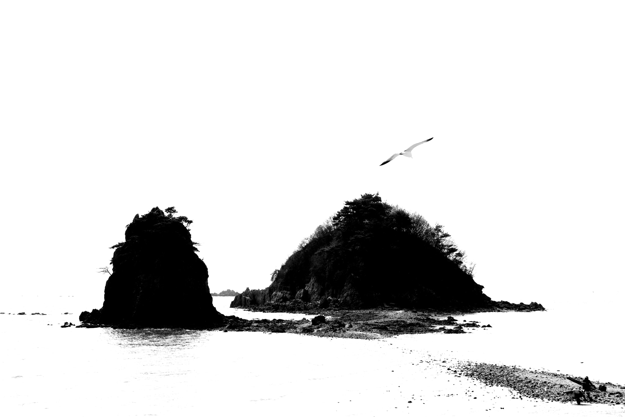 Canon EF-S 18-200mm F3.5-5.6 IS sample photo. Another expression of the beach photography