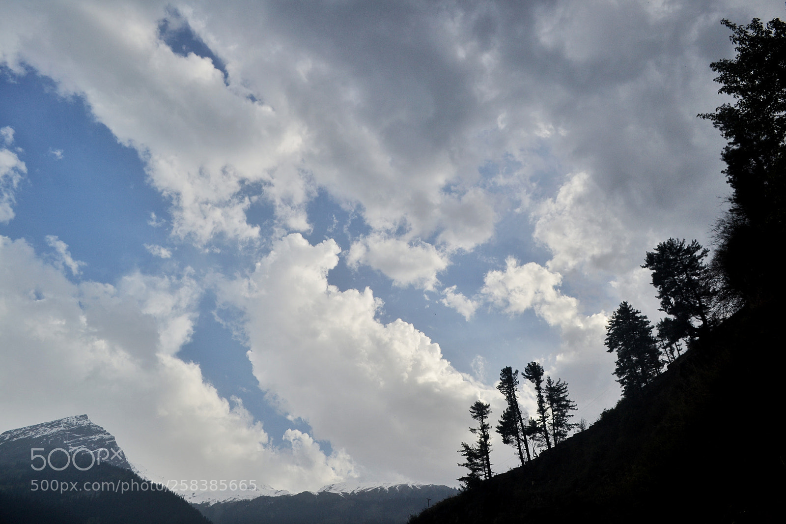 Nikon D3100 sample photo. Lifetime full of memories photography