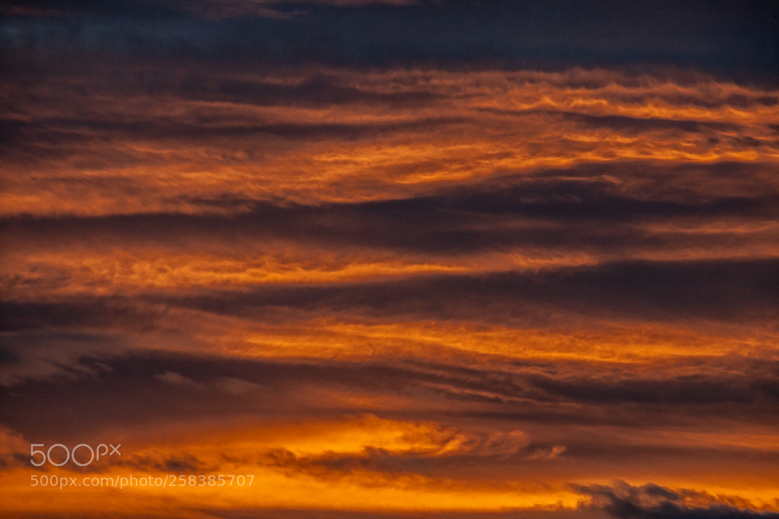 Canon EOS-1Ds Mark II sample photo. Garrigues sunset ii photography