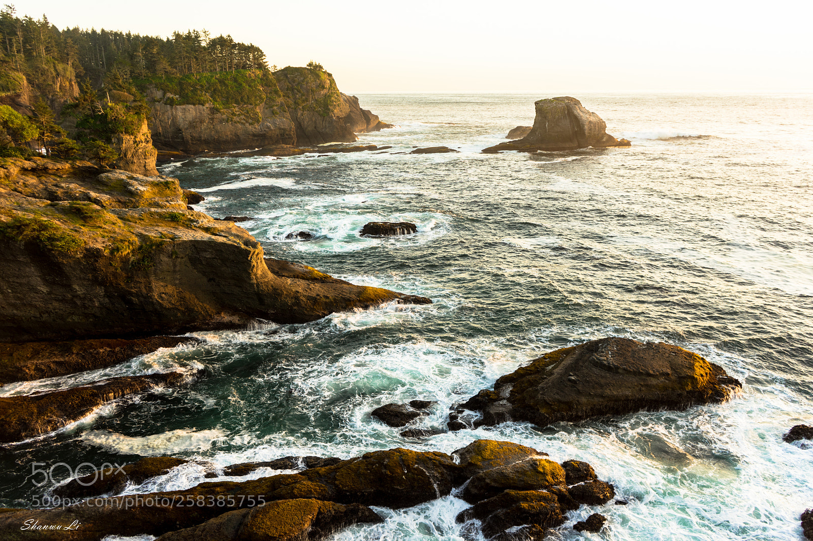 Sony a7 II sample photo. . photography