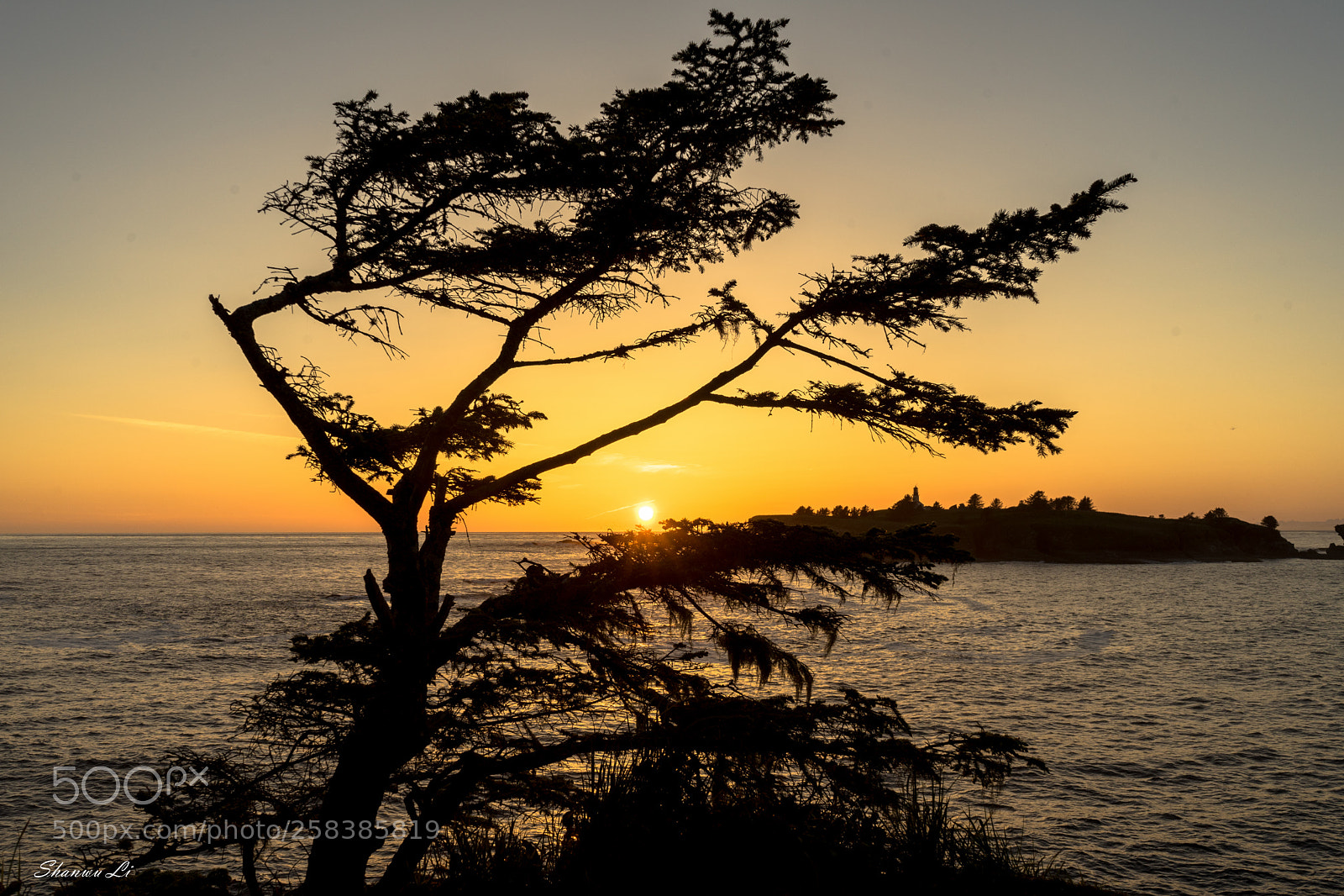 Sony a7 II sample photo. . photography