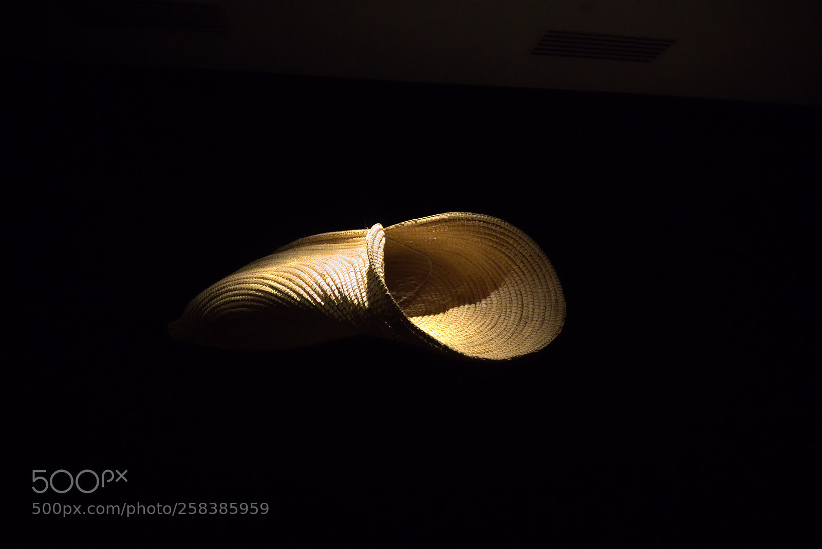 Canon EOS 7D Mark II sample photo. Wicker sarcophagus photography