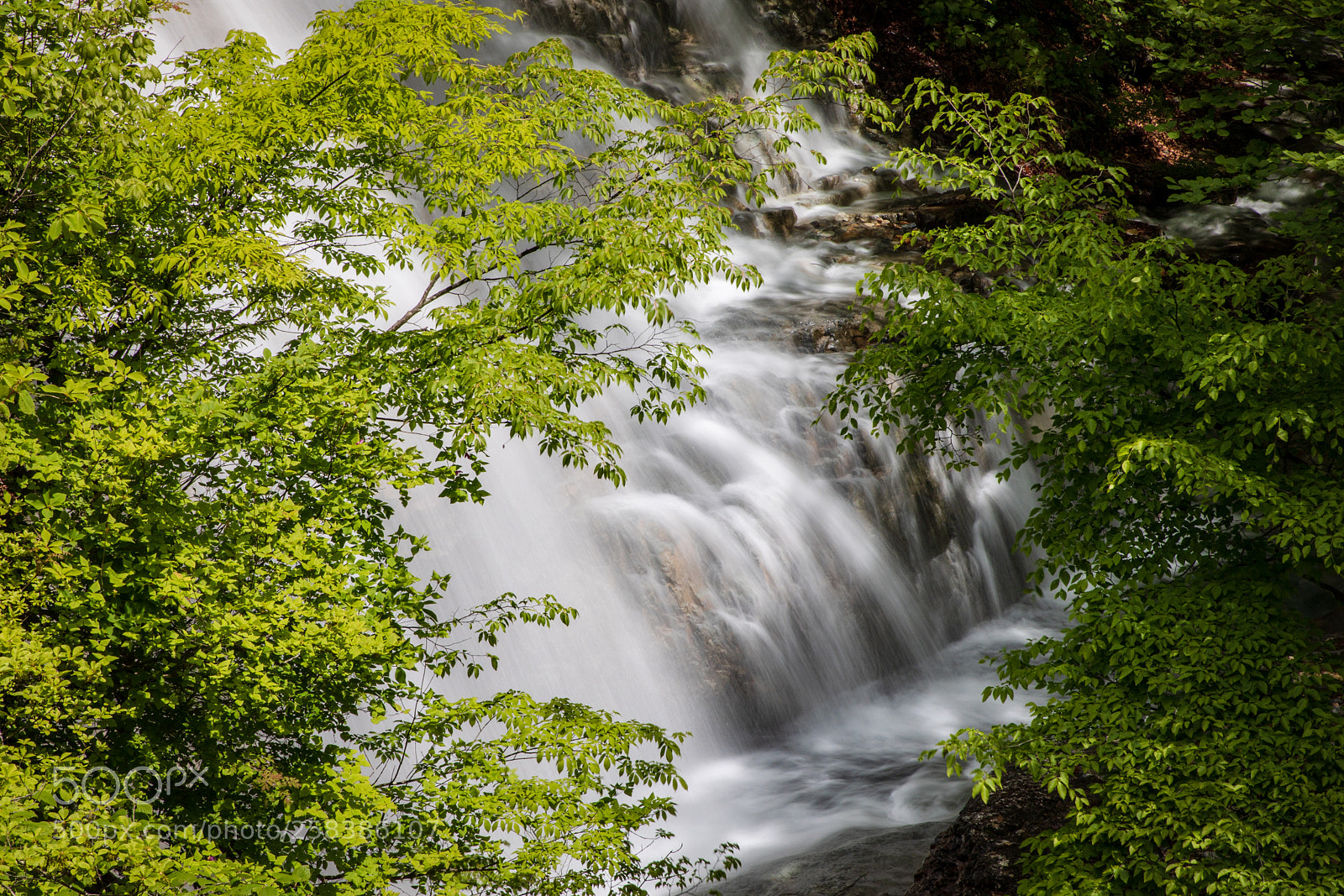 Canon EOS 5D Mark IV sample photo. Waterfall behind the tree photography