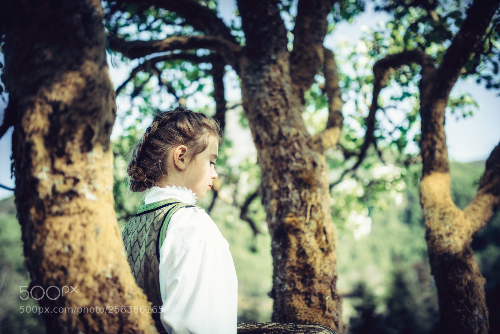 Canon EOS 5D Mark IV sample photo. Hiding among trees photography