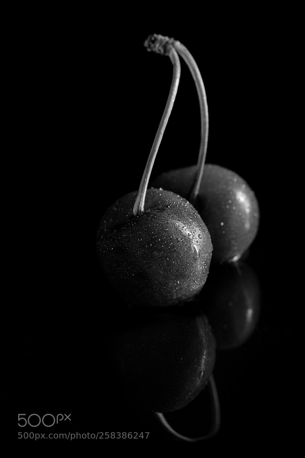 Canon EOS 5D Mark IV sample photo. Cherry without colors photography