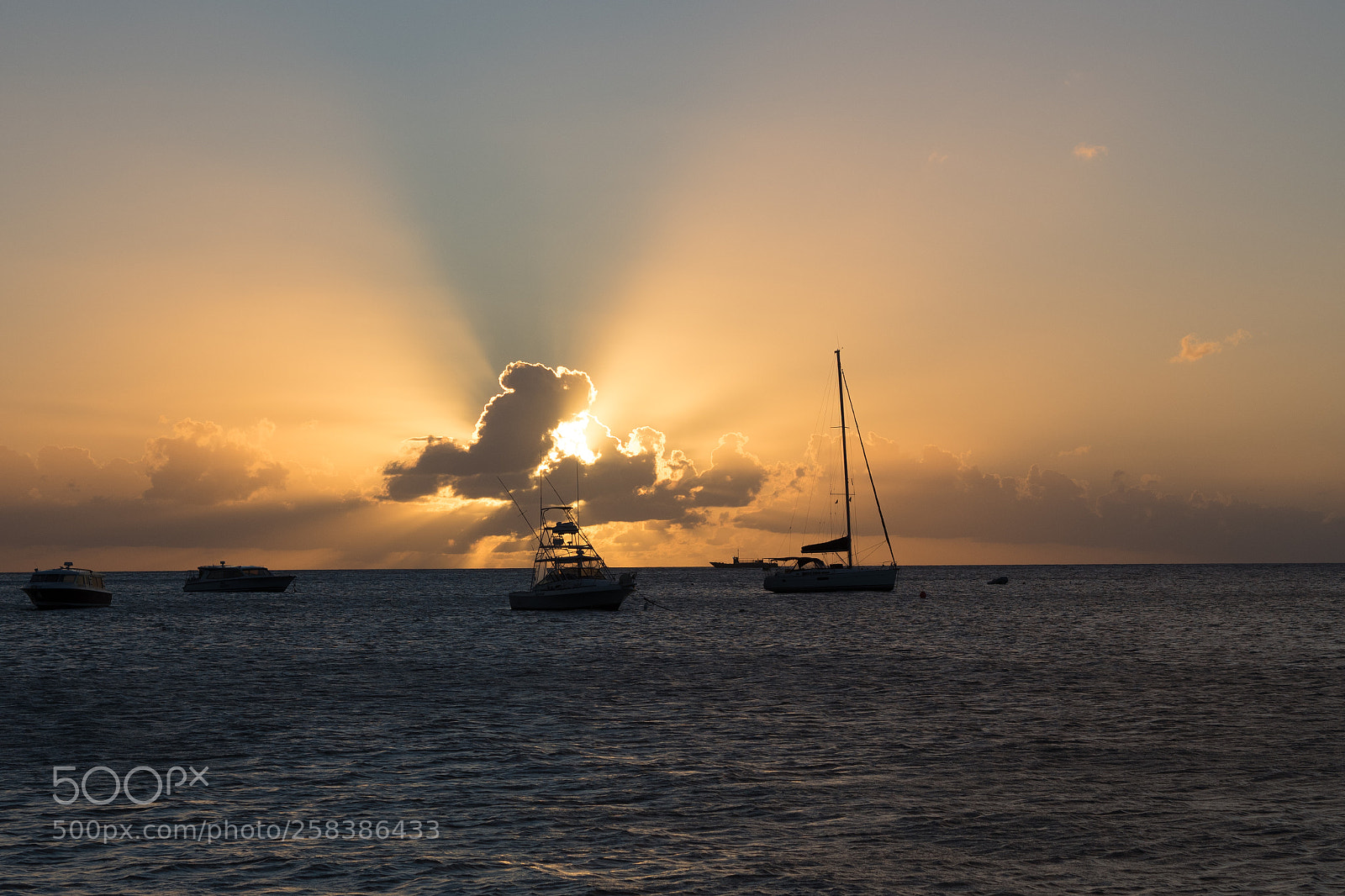 Olympus OM-D E-M5 II sample photo. Evening rays photography