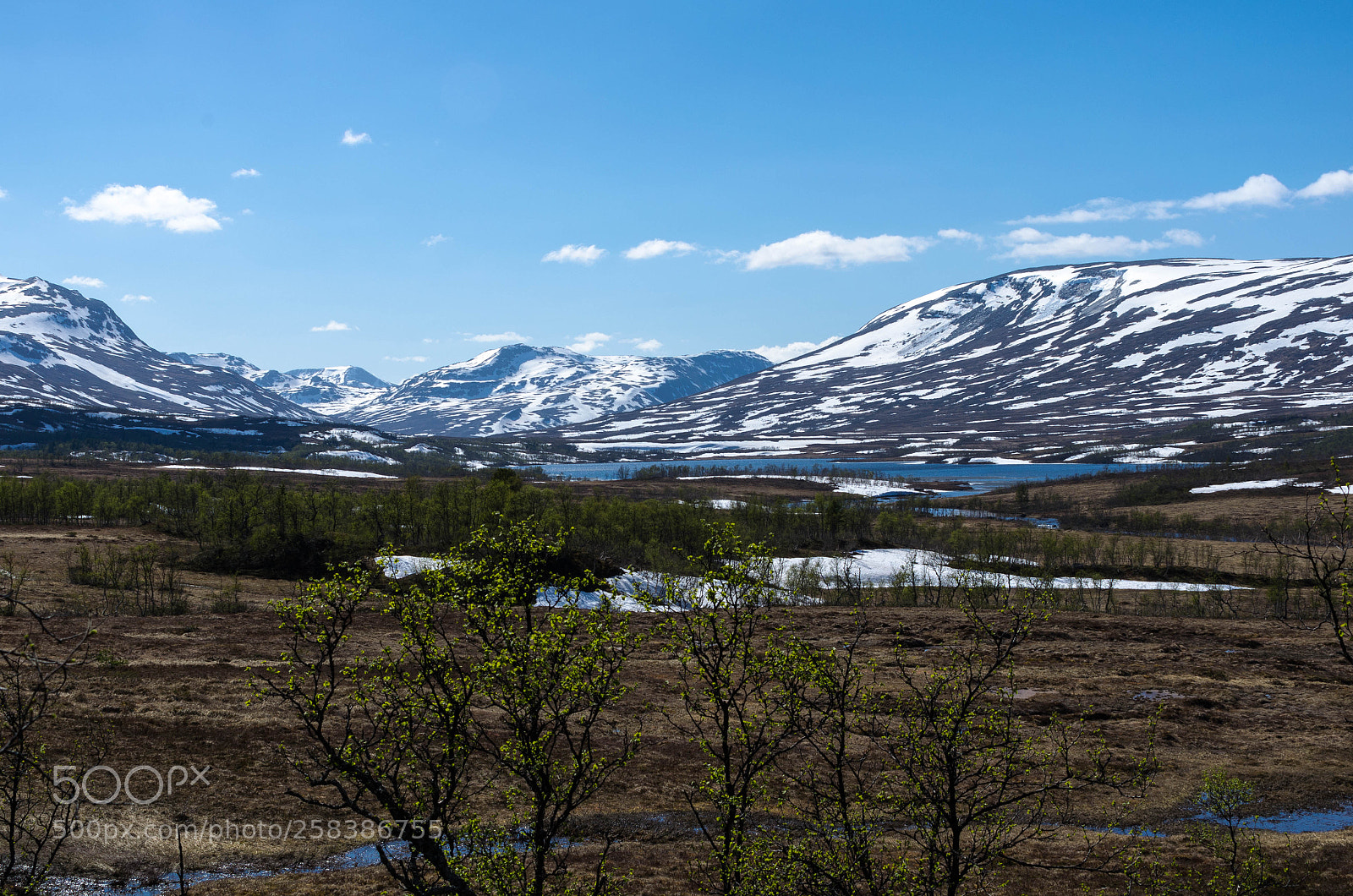 Nikon D5100 sample photo. Spring in the mountains photography