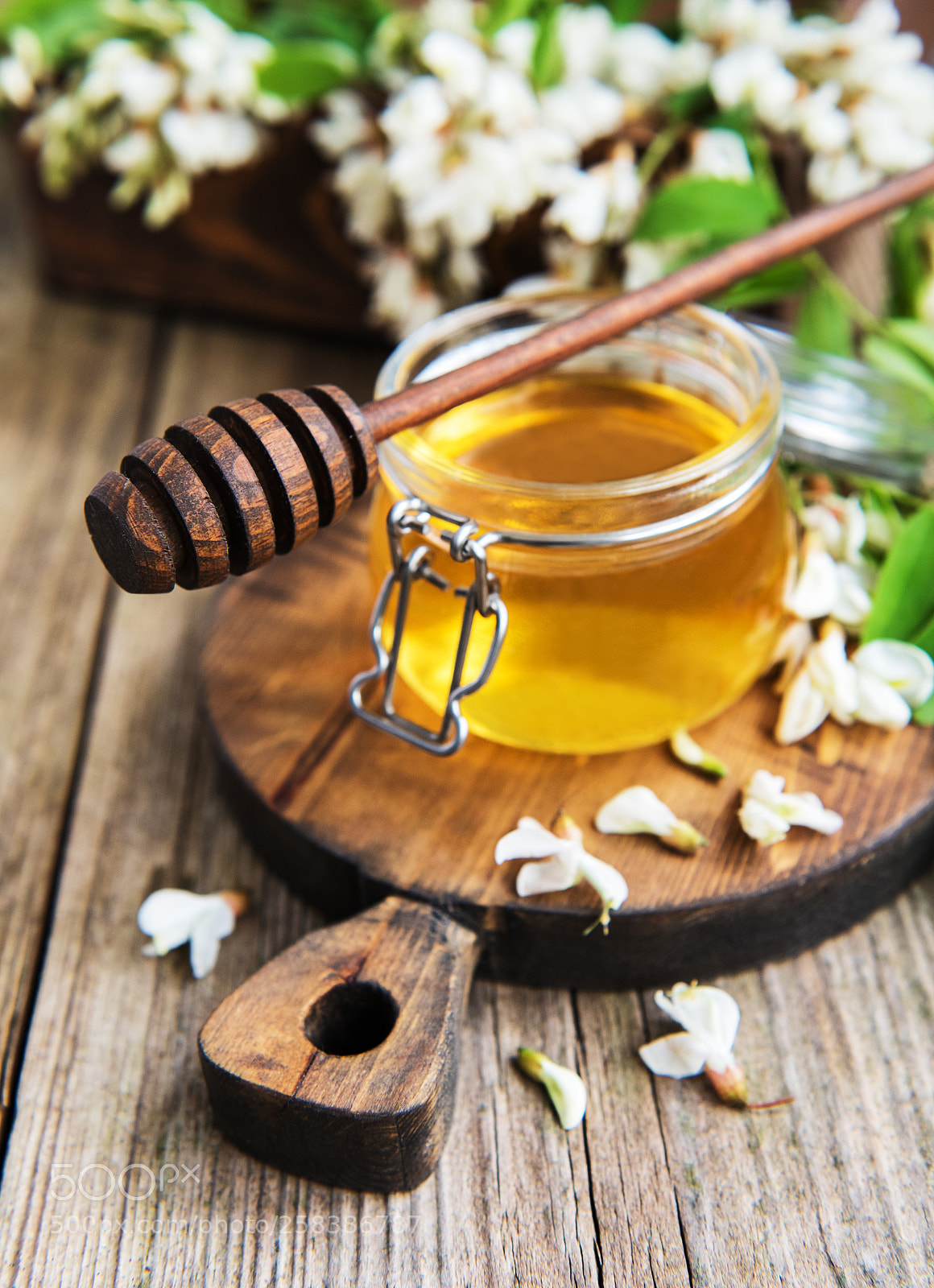 Nikon D750 sample photo. Honey with acacia blossoms photography