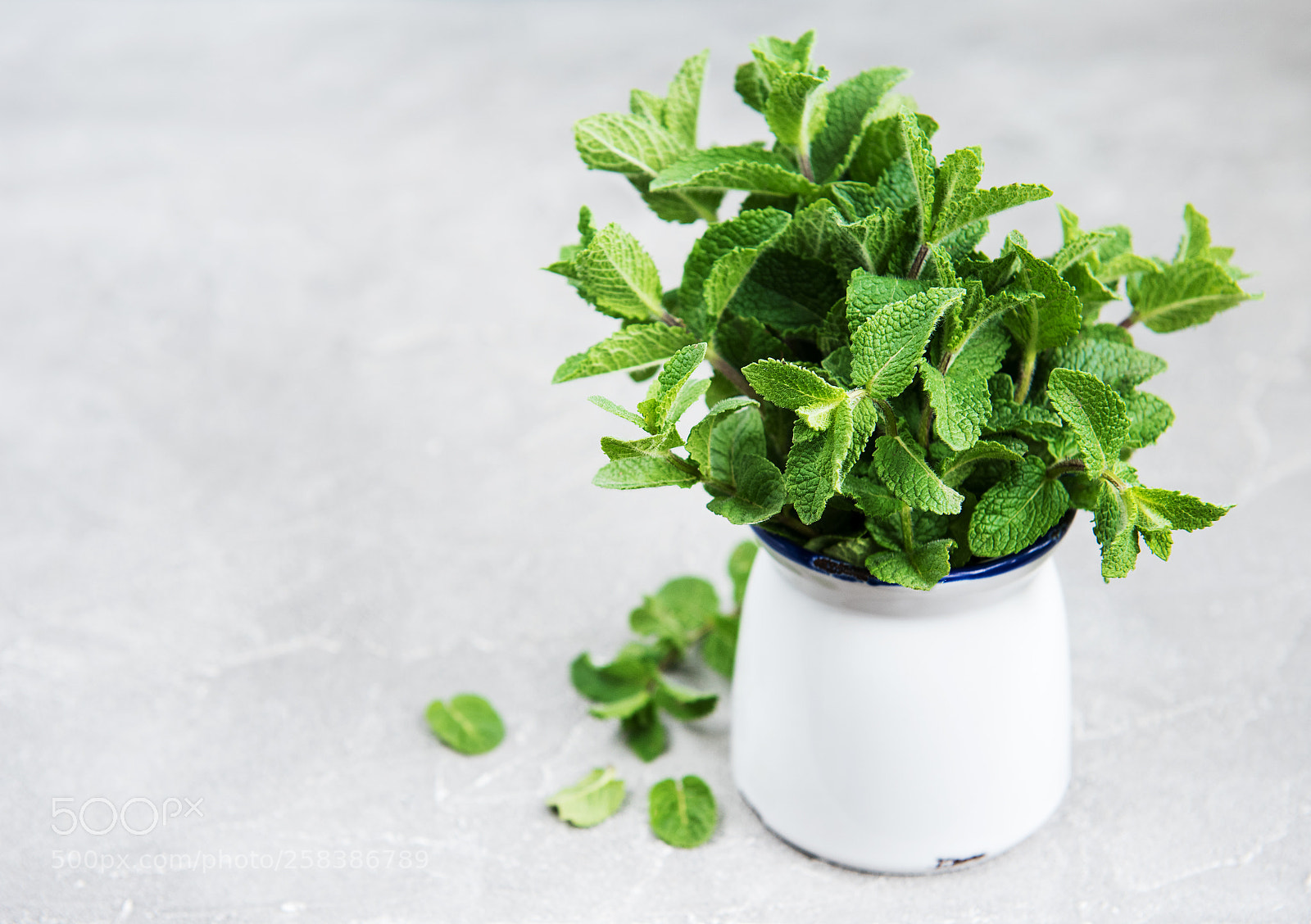 Nikon D750 sample photo. Fresh mint in a photography